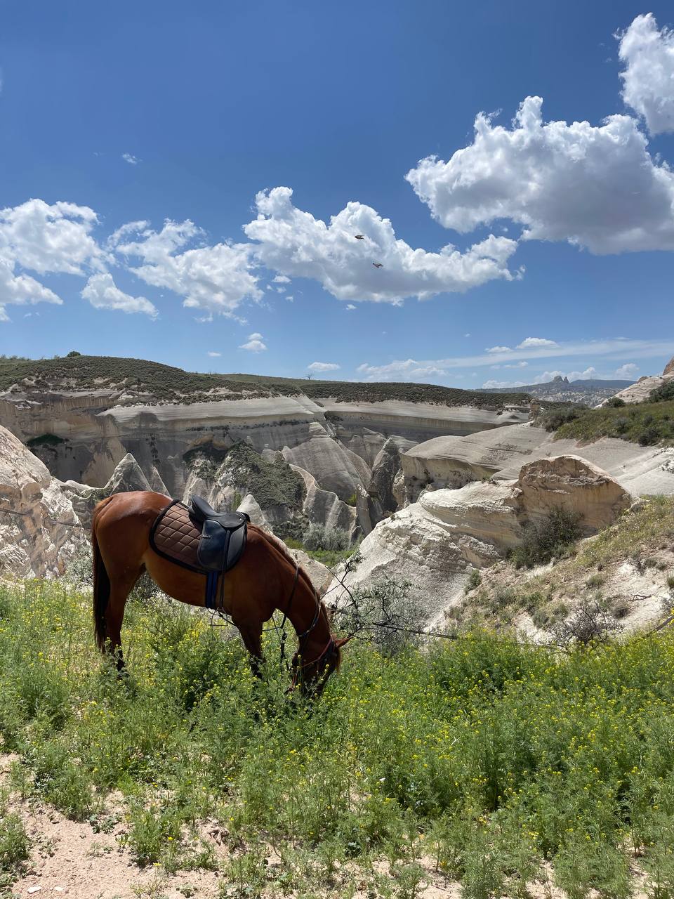 Стамбул+Каппадокия, максимум впечатлений и активностей (65/238)