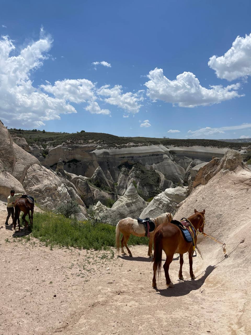 Стамбул+Каппадокия, максимум впечатлений и активностей (66/238)