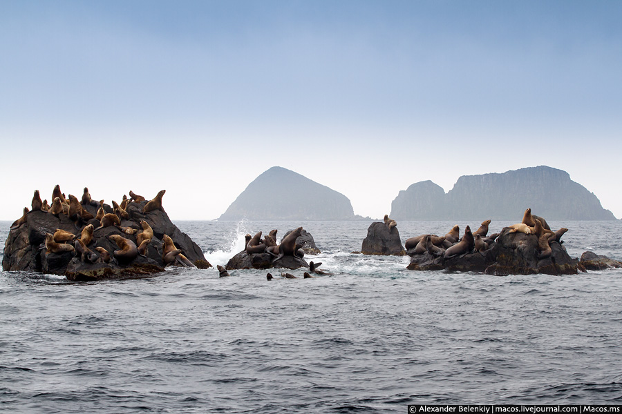 Нереальный Сахалин (13/44)