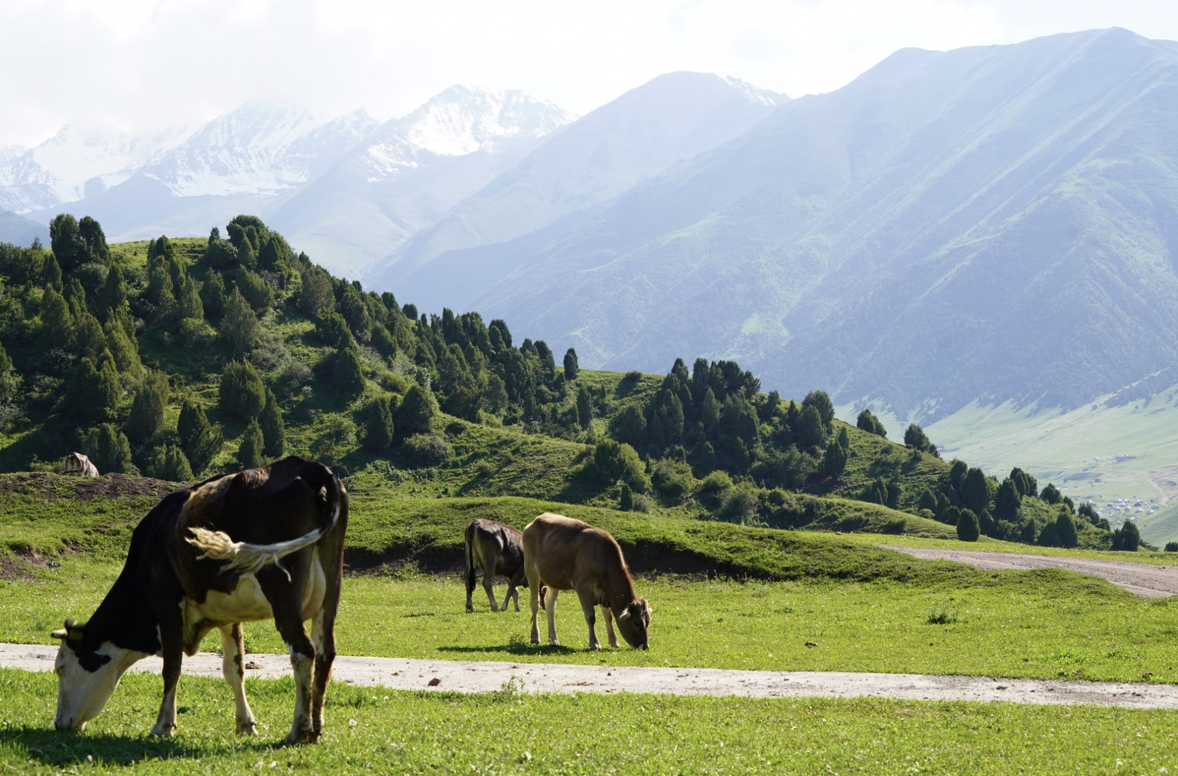 Кыргызстан: страна небесных гор. 5 дней