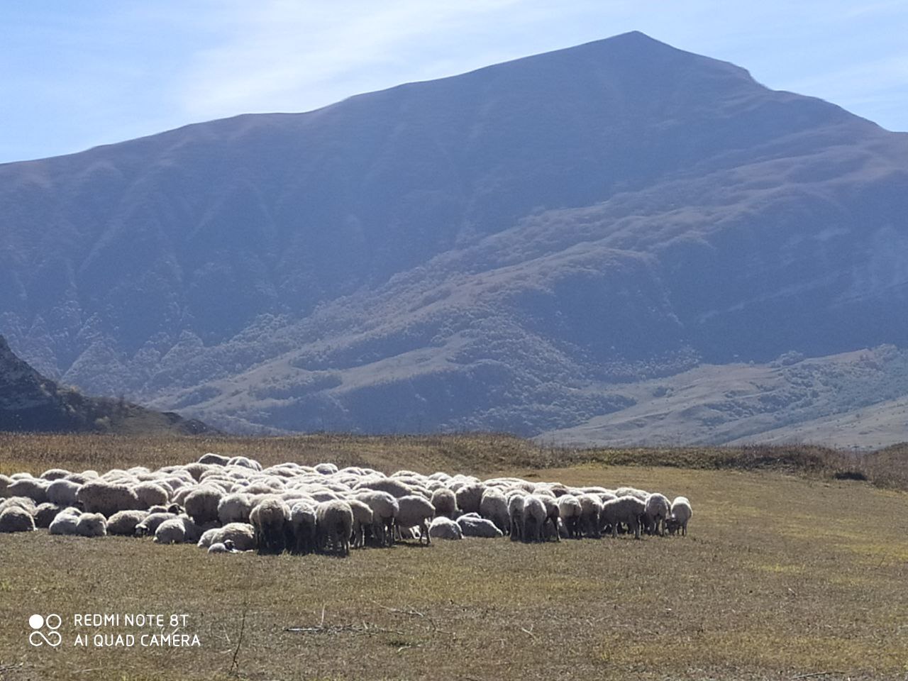Кавказский экспресс. Чечня+Ингушетия+Осетия (6/42)
