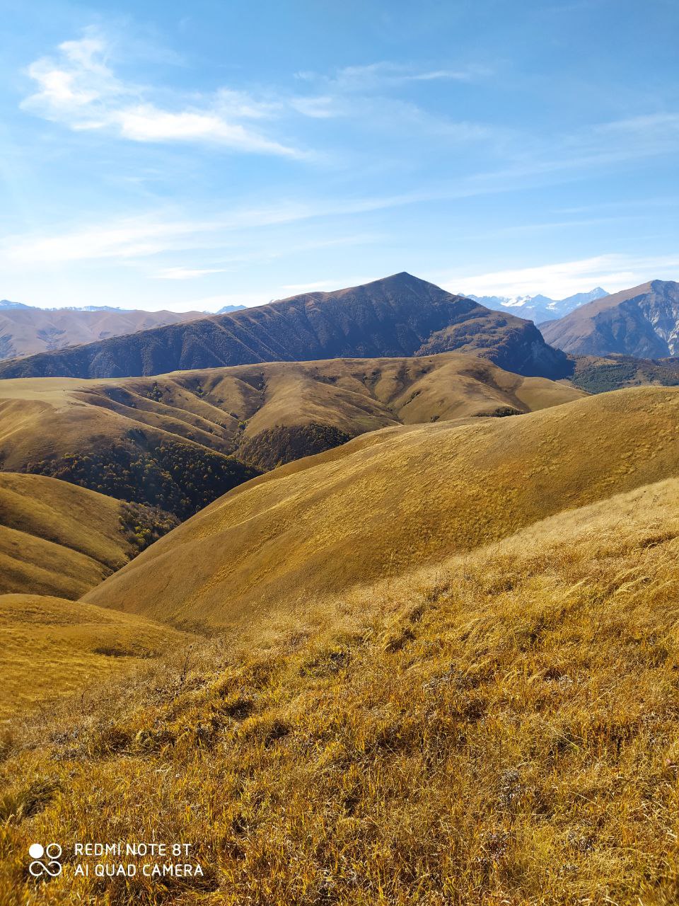 Кавказский экспресс. Чечня+Ингушетия+Осетия (7/42)