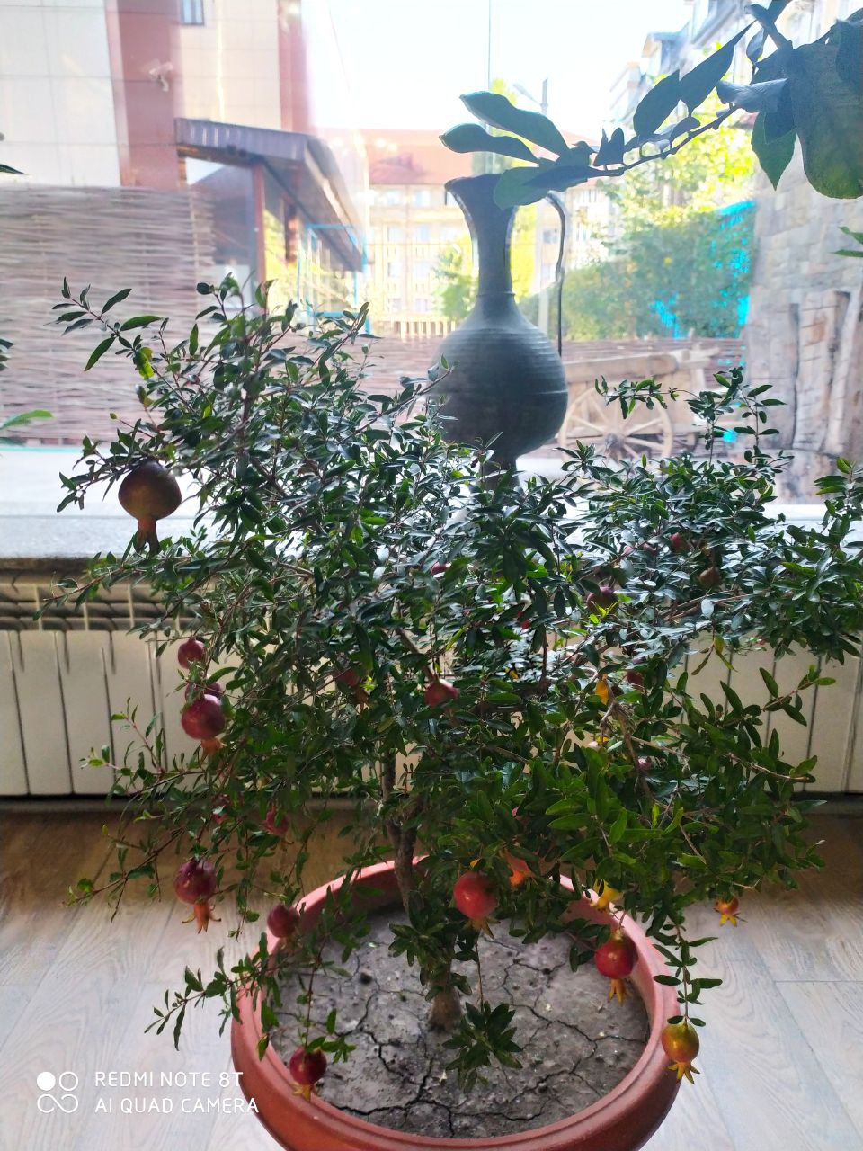 Кавказский экспресс. Чечня+Ингушетия+Осетия (8/42)