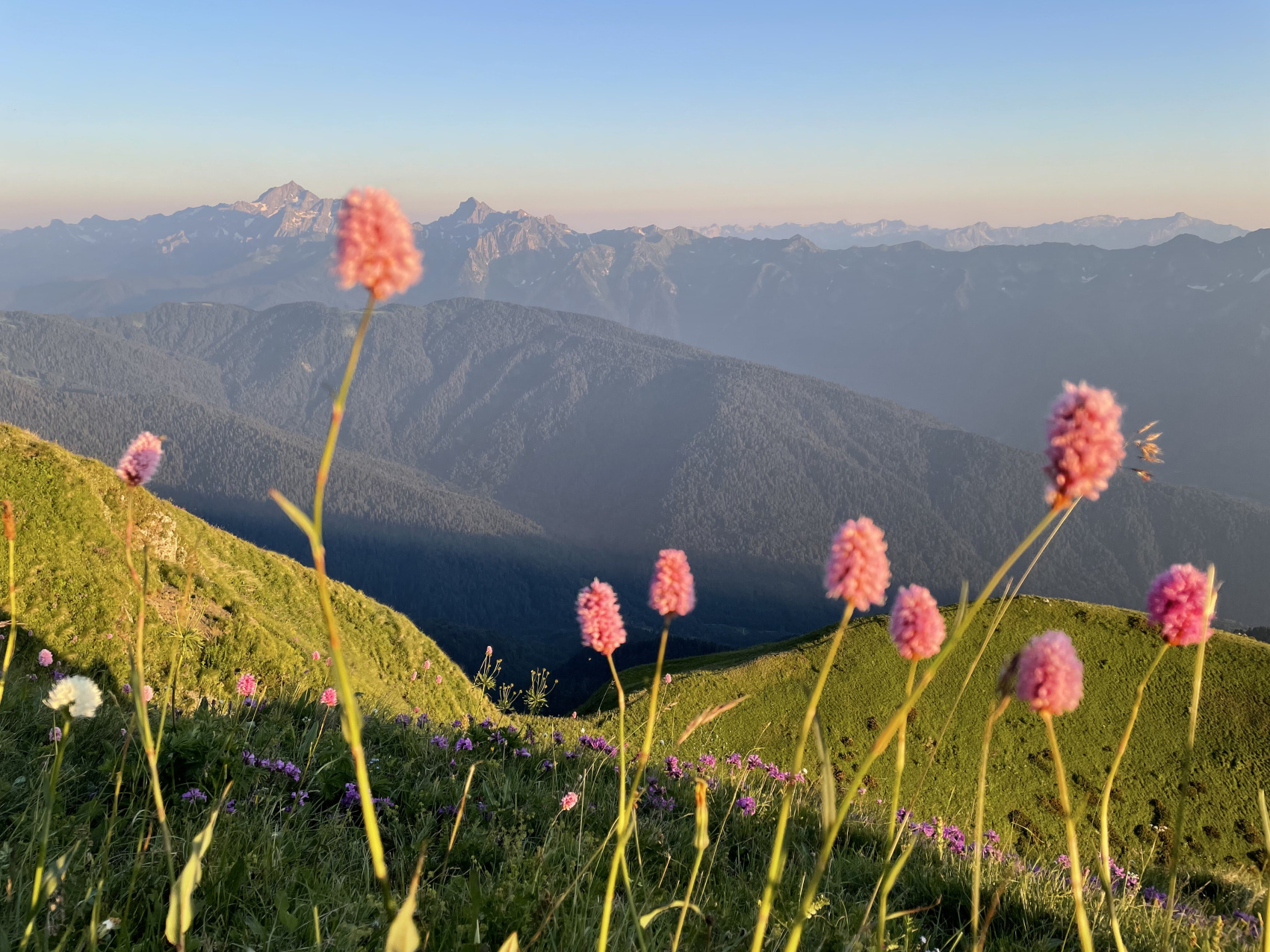 Йога-релакс-ретрит в Сочи. Обновление (13/51)