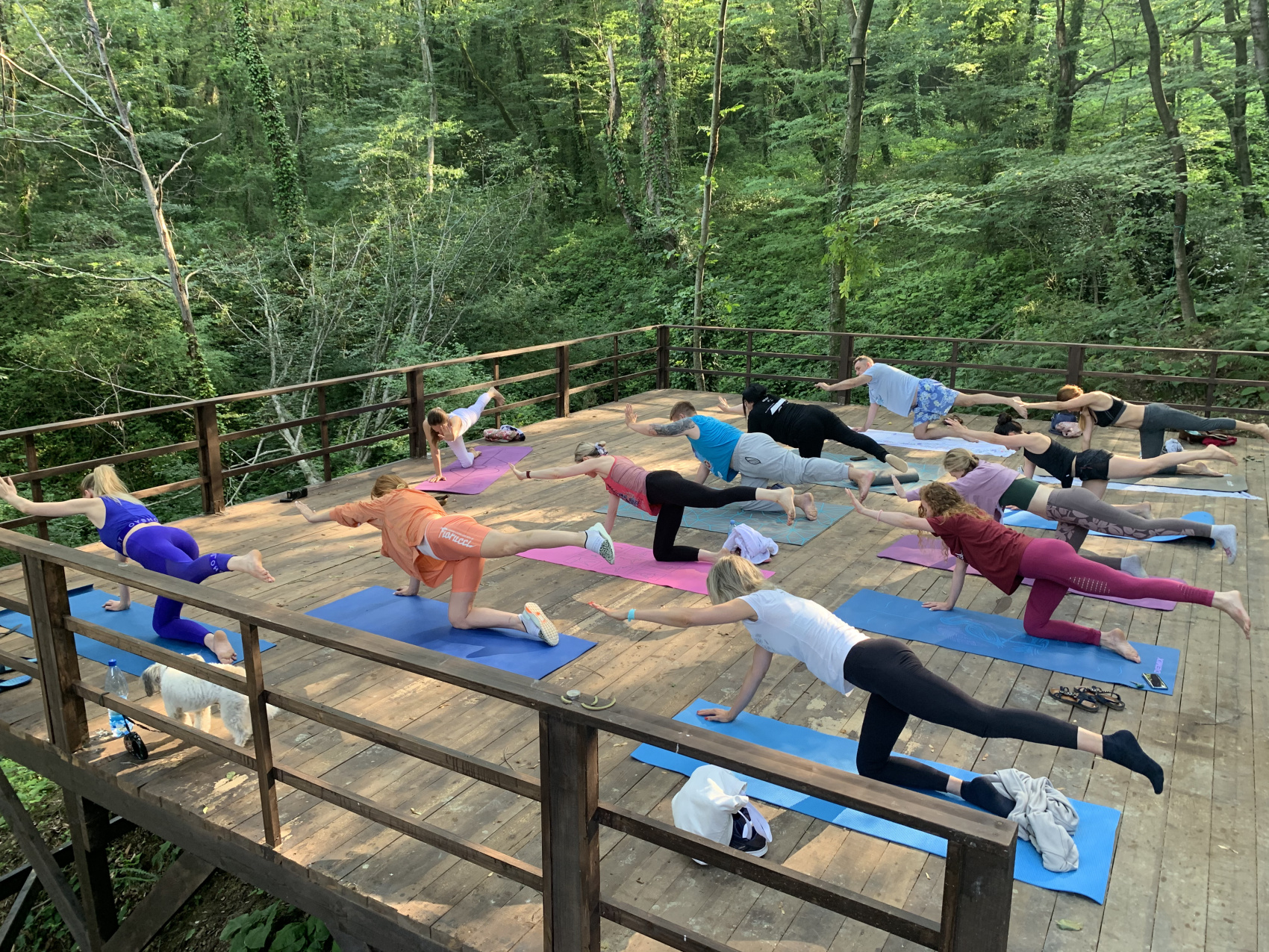 Йога-релакс-ретрит в Сочи. Обновление (16/51)