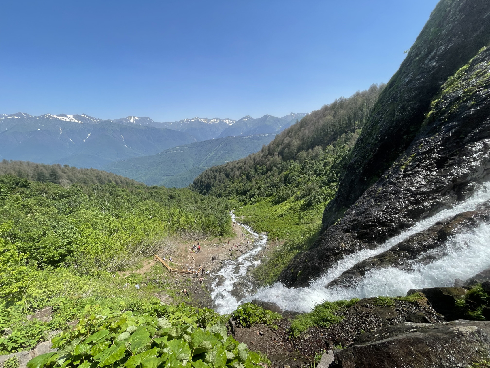 Йога-релакс-ретрит в Сочи. Обновление (11/51)