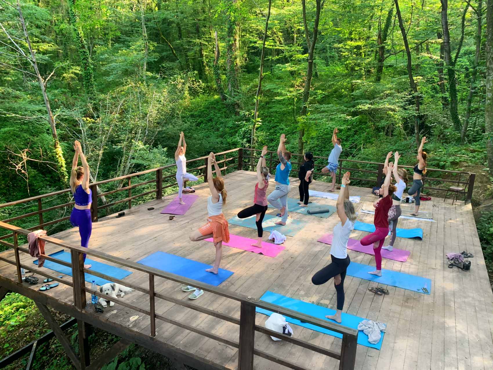 Йога-релакс-ретрит в Сочи. Обновление (4/51)