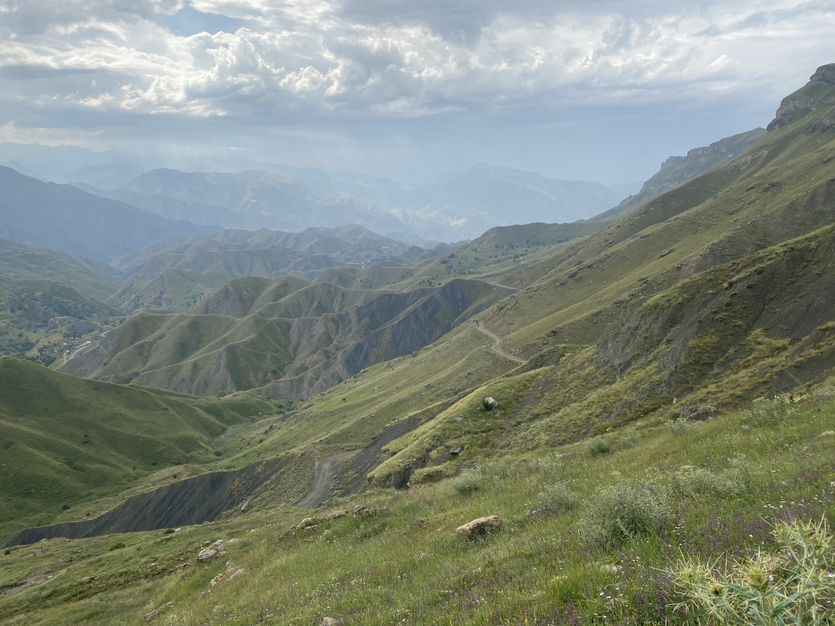 Аммониты Юрского и Мелового периодов (4/47)