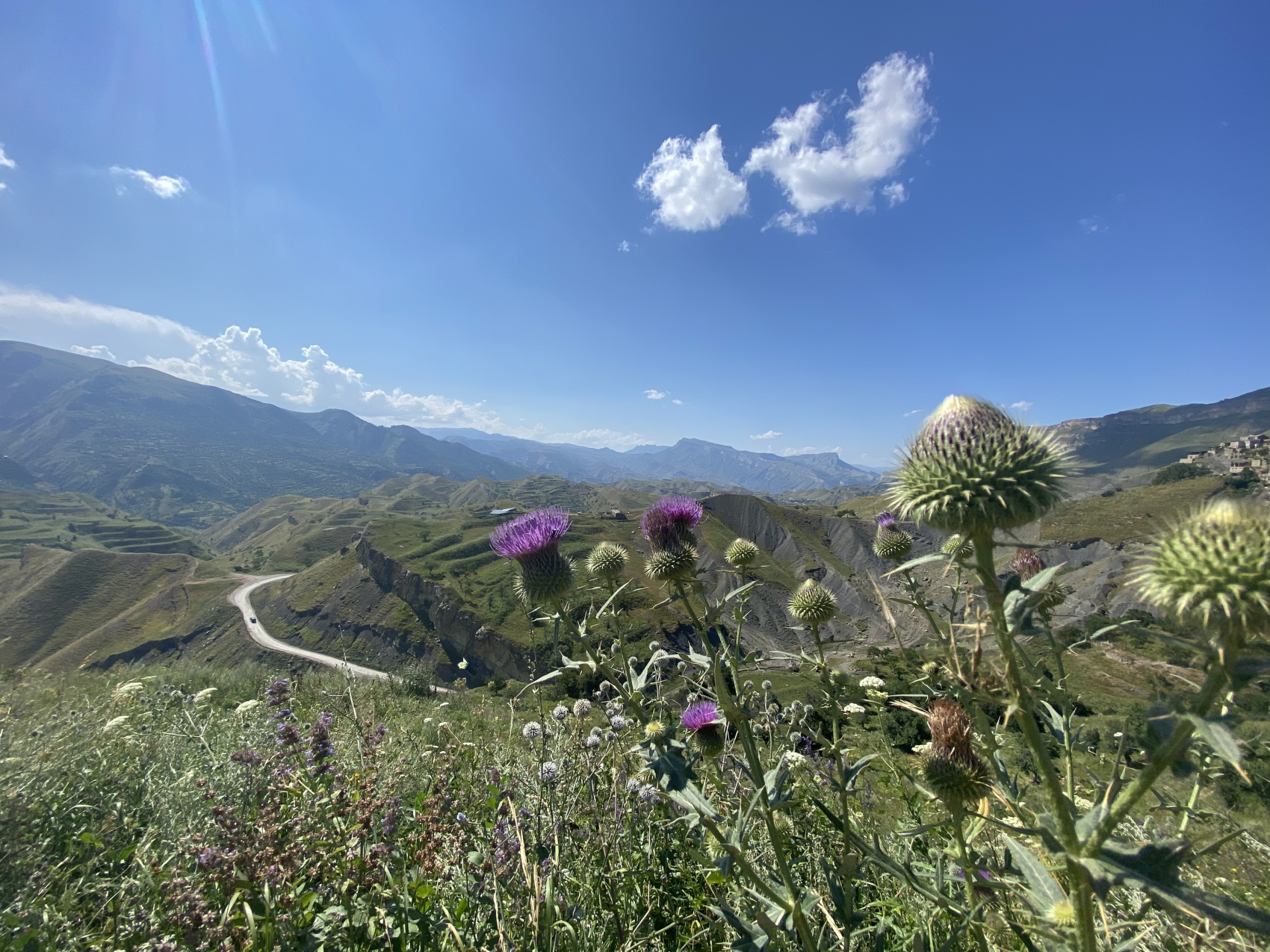 Аммониты Юрского и Мелового периодов (5/47)