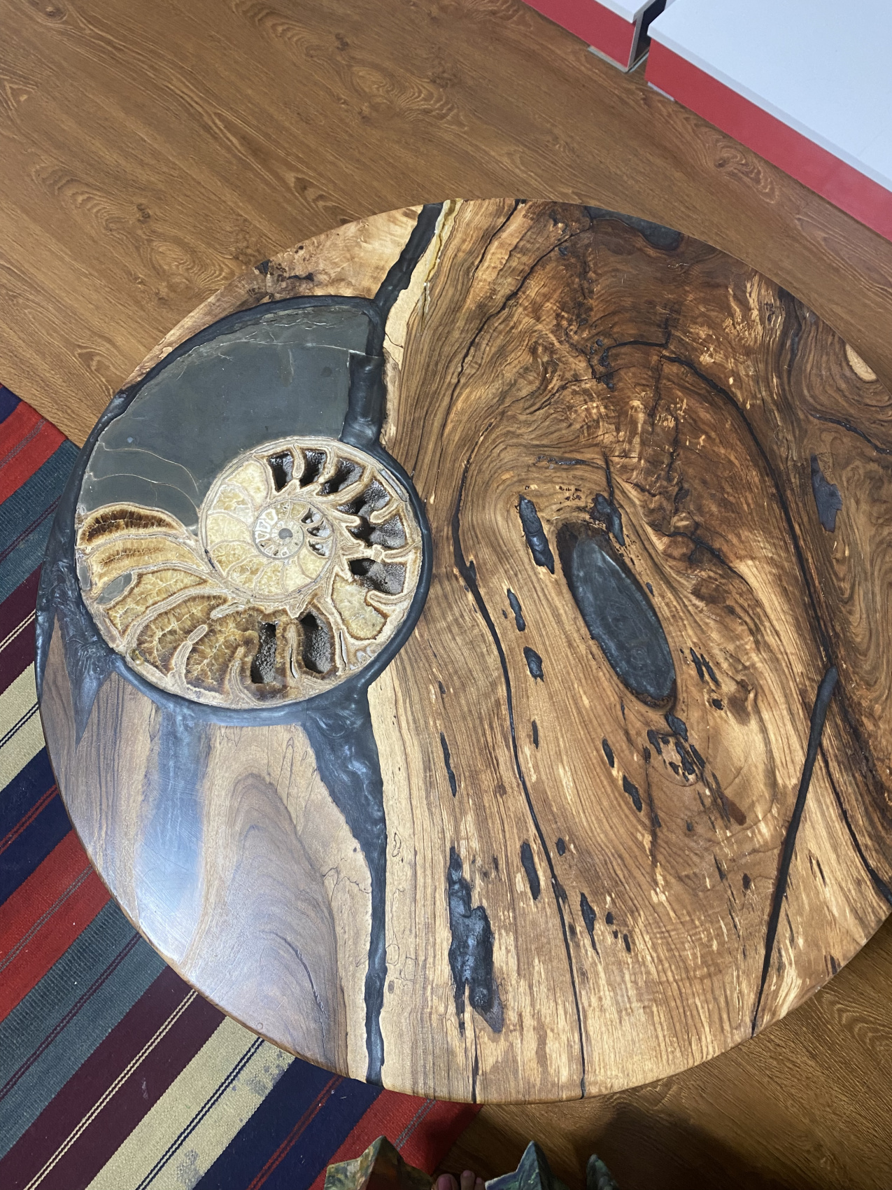 Аммониты Юрского и Мелового периодов (21/47)