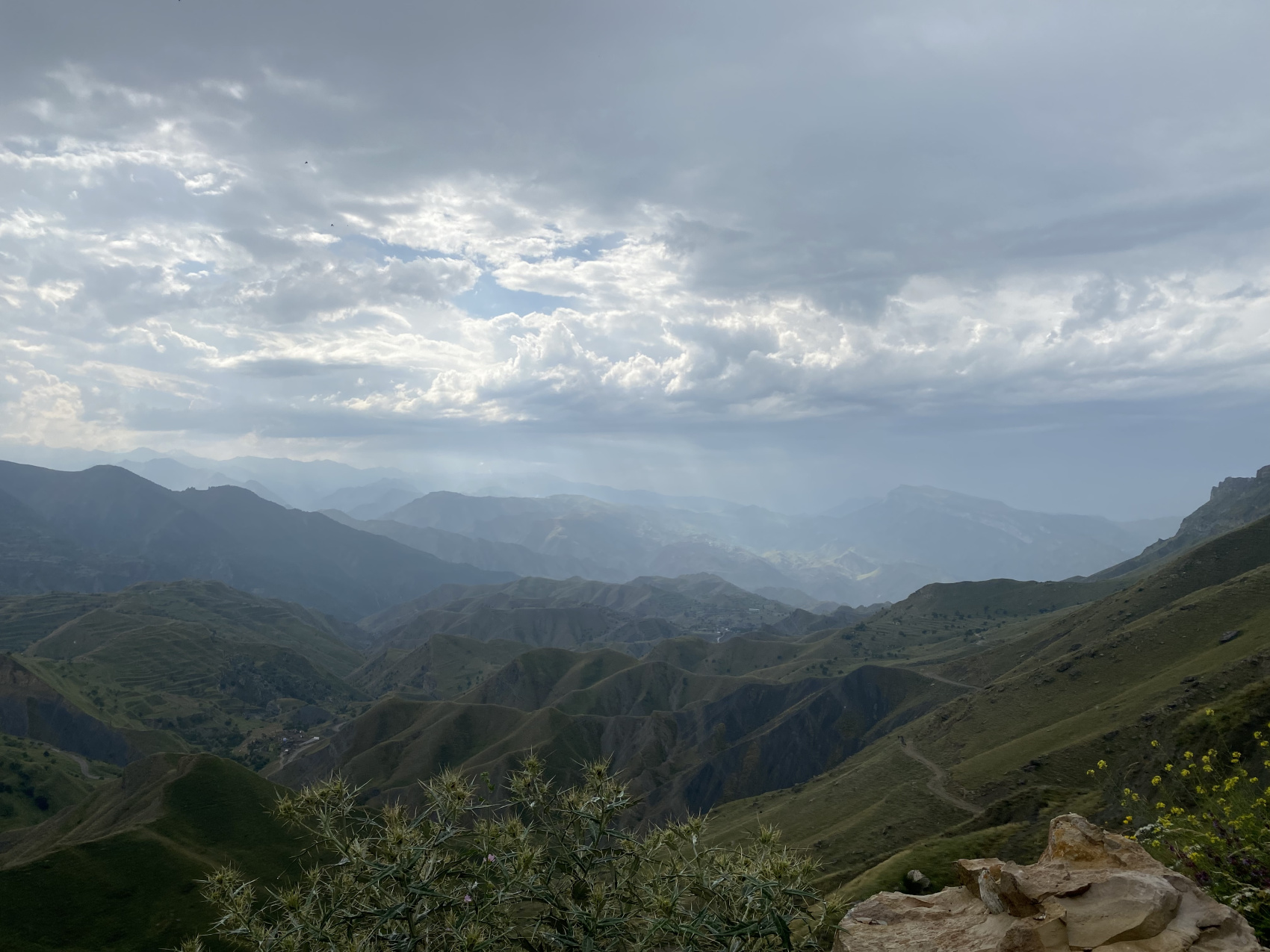 Аммониты Юрского и Мелового периодов (3/47)