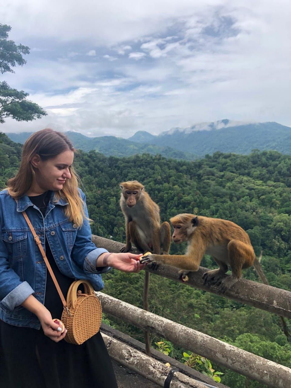 Шри-Ланка: главное на суше + океанский круиз (4/38)