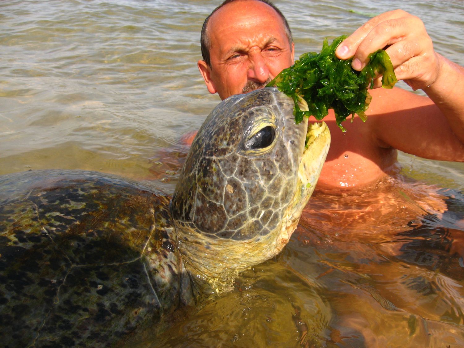 Шри-Ланка: главное на суше + океанский круиз (6/38)