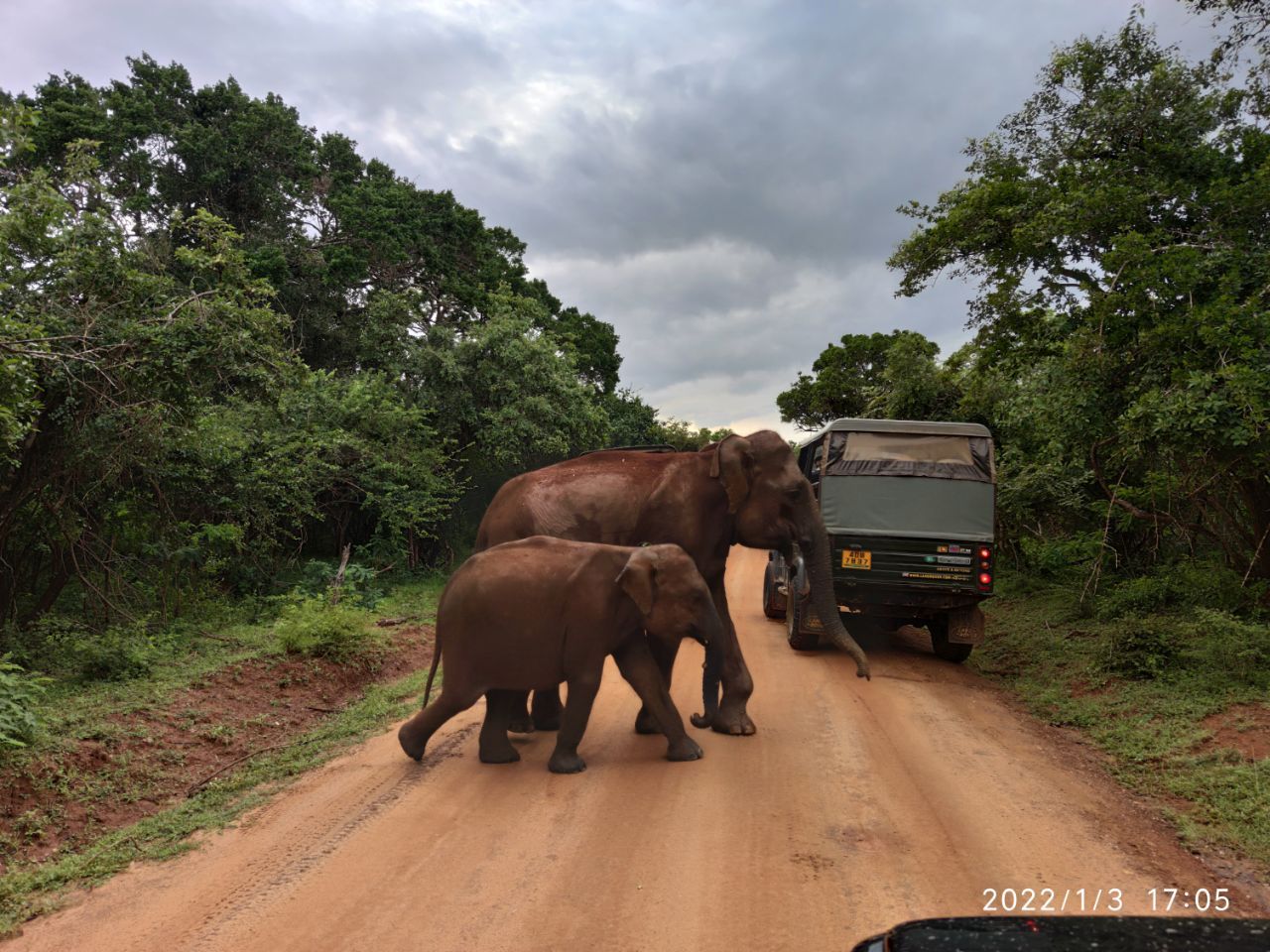 Шри-Ланка: главное на суше + океанский круиз