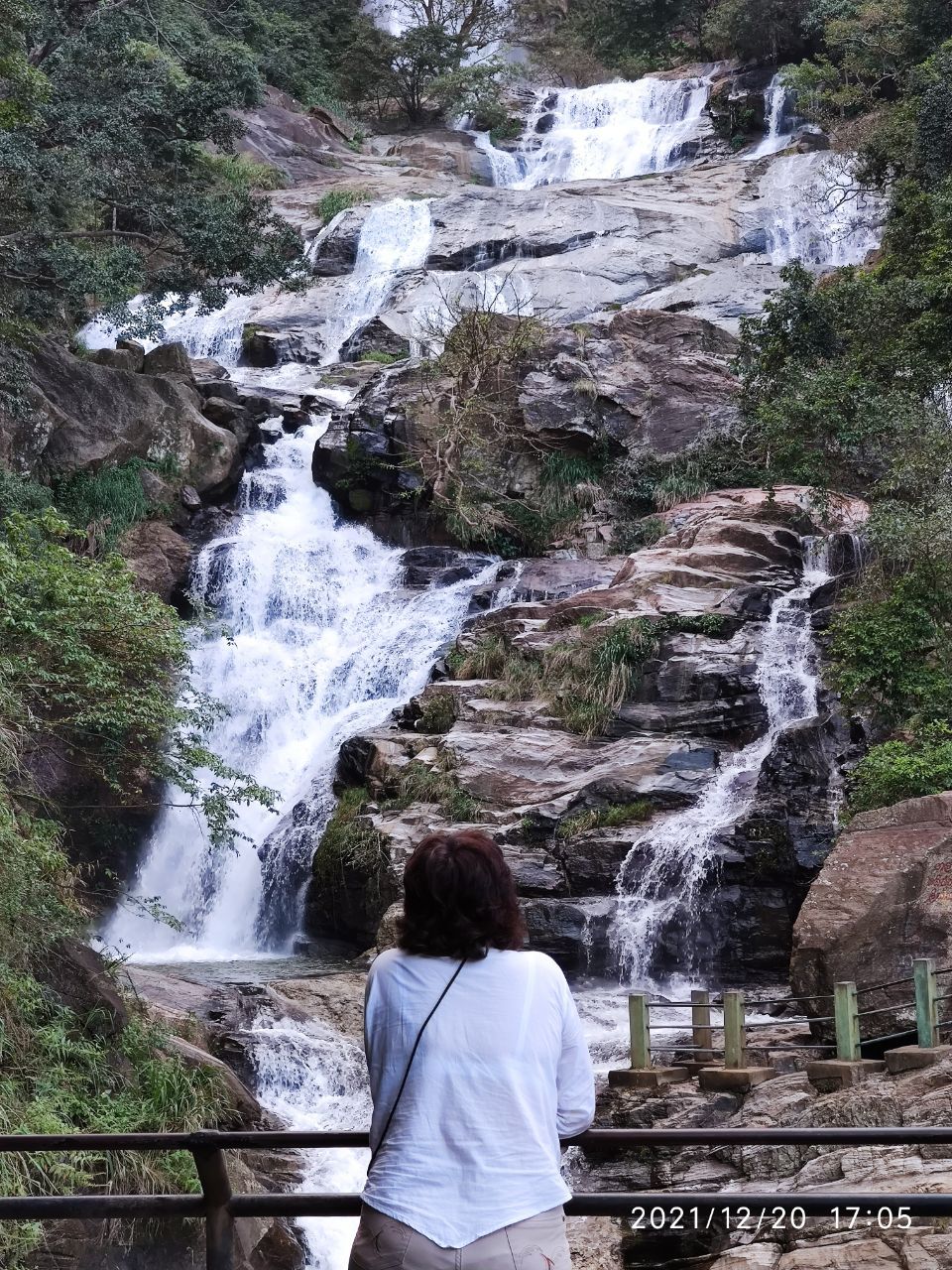 Шри-Ланка: главное на суше + океанский круиз (12/38)