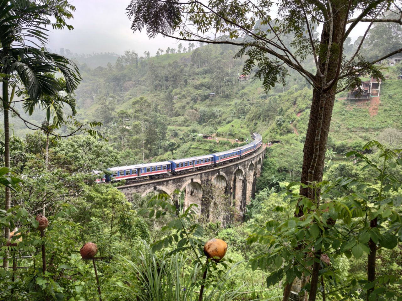 Шри-Ланка: главное на суше + океанский круиз (7/38)