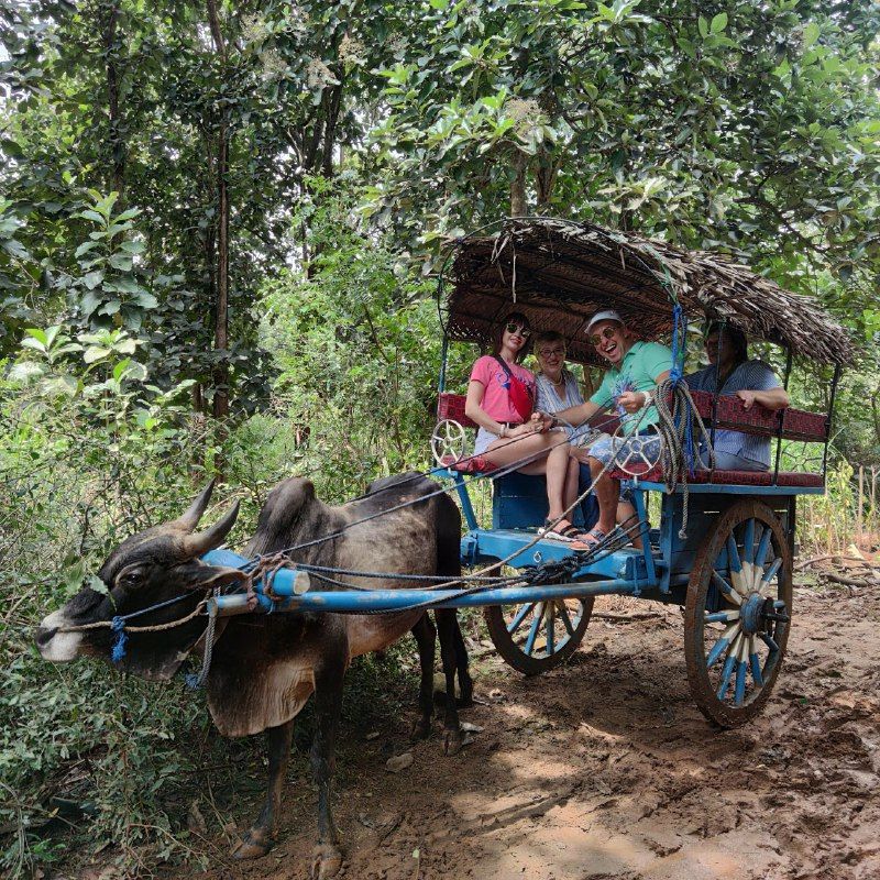 Шри-Ланка: главное на суше + океанский круиз (8/38)