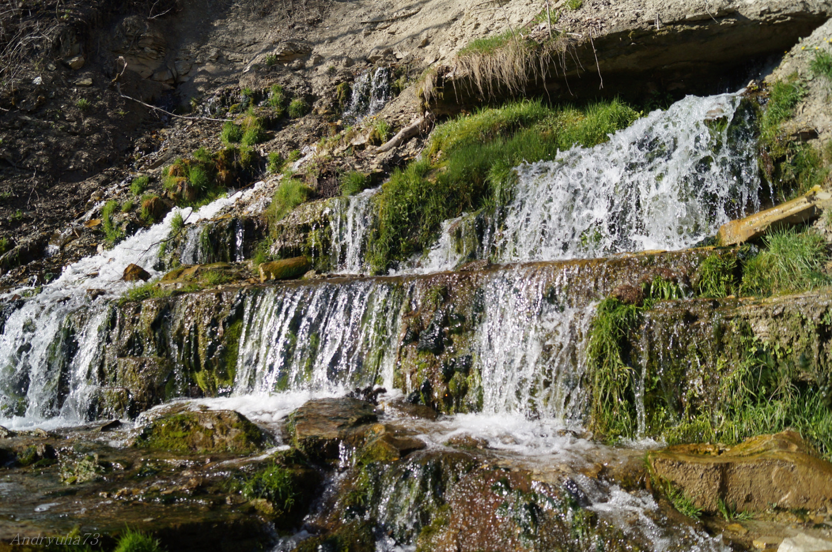 Псков-Изборск-Ореховно (4/15)