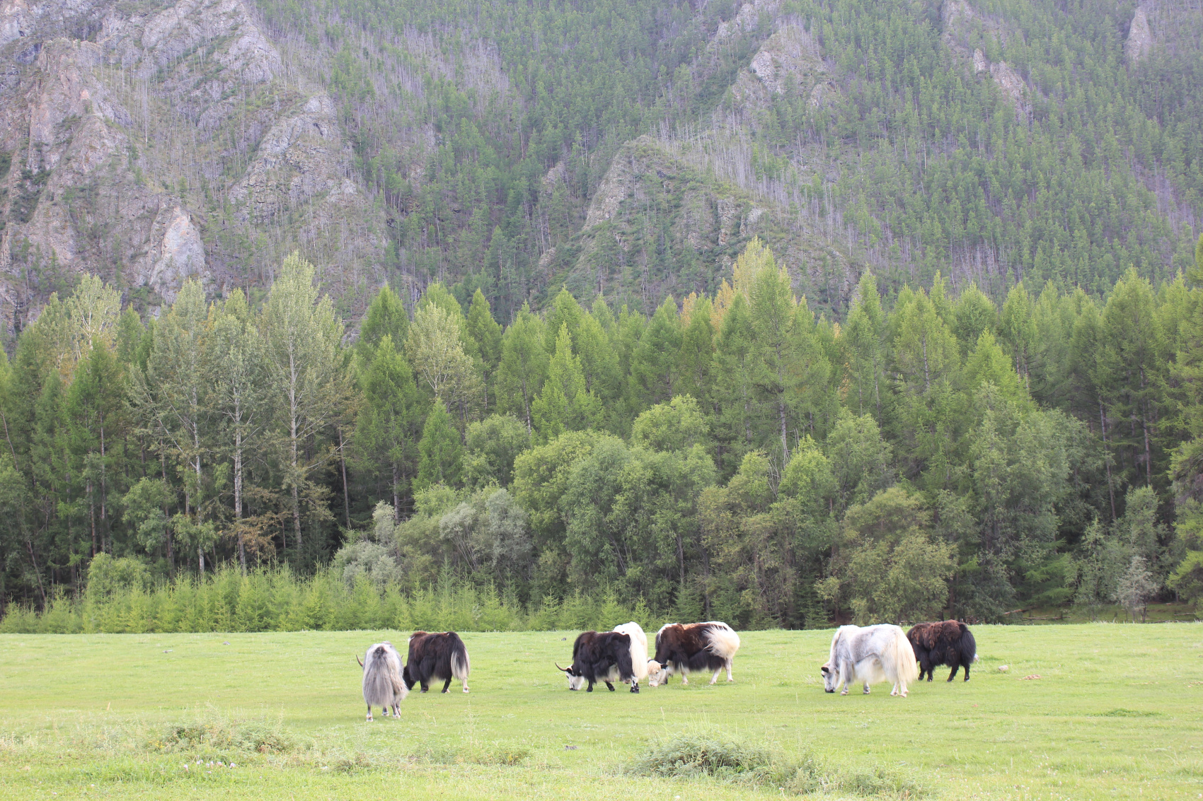 Тувинский вояж (16/40)