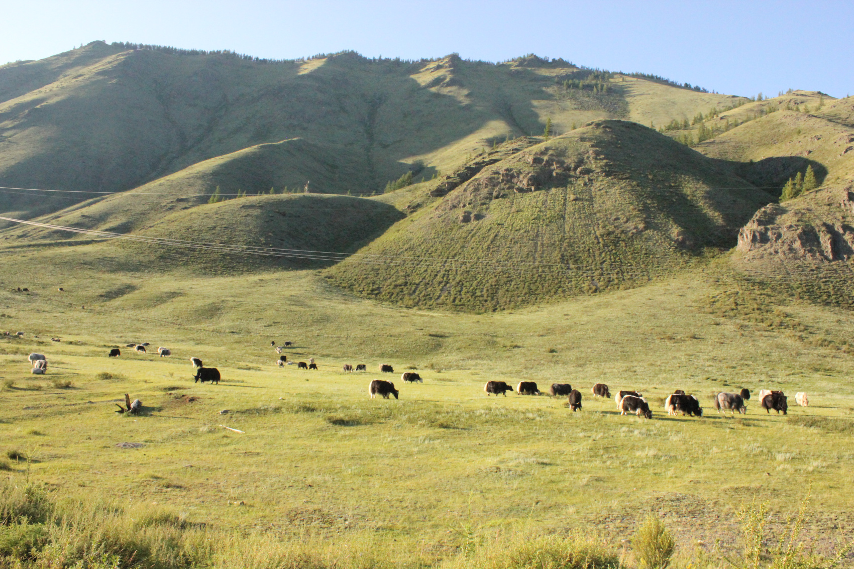 Тувинский вояж (18/40)