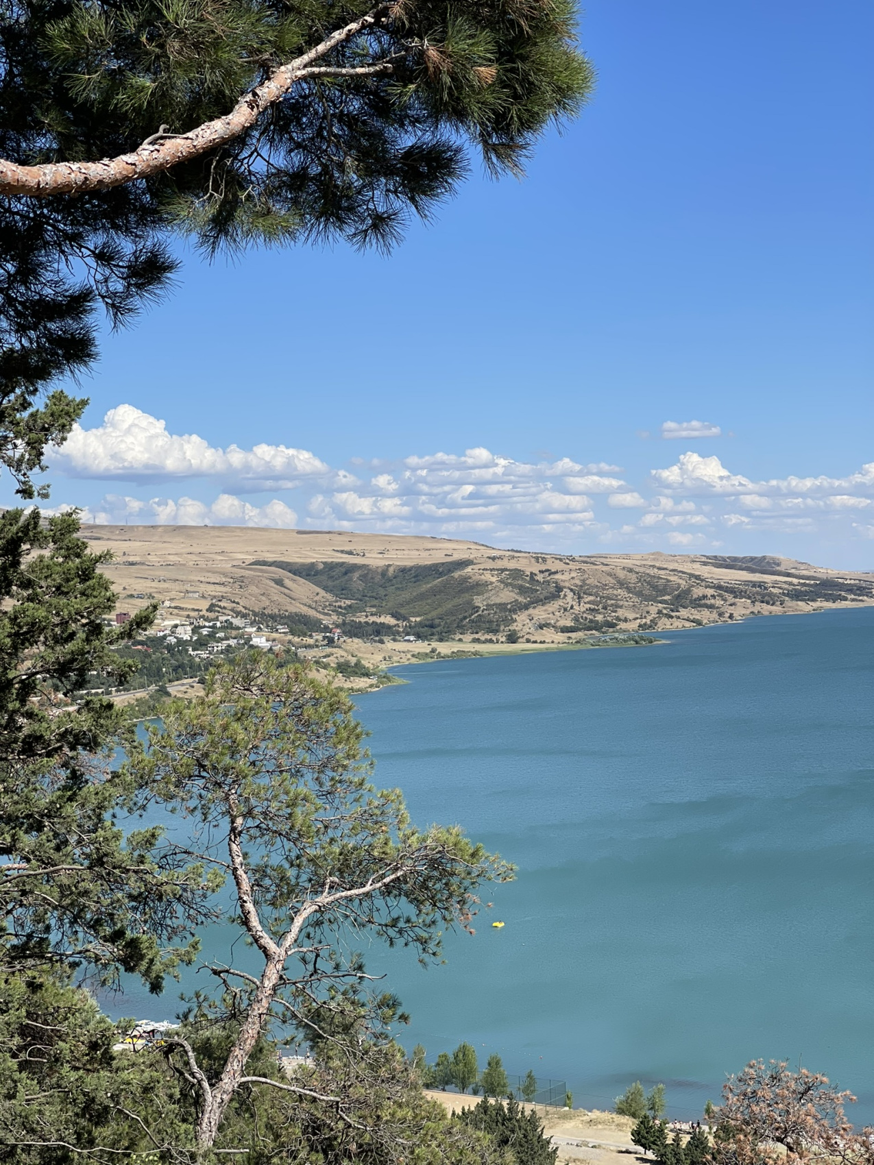 Знакомство с Грузией: Полное Погружение! Горы, еда, вино, храмы (29/47)