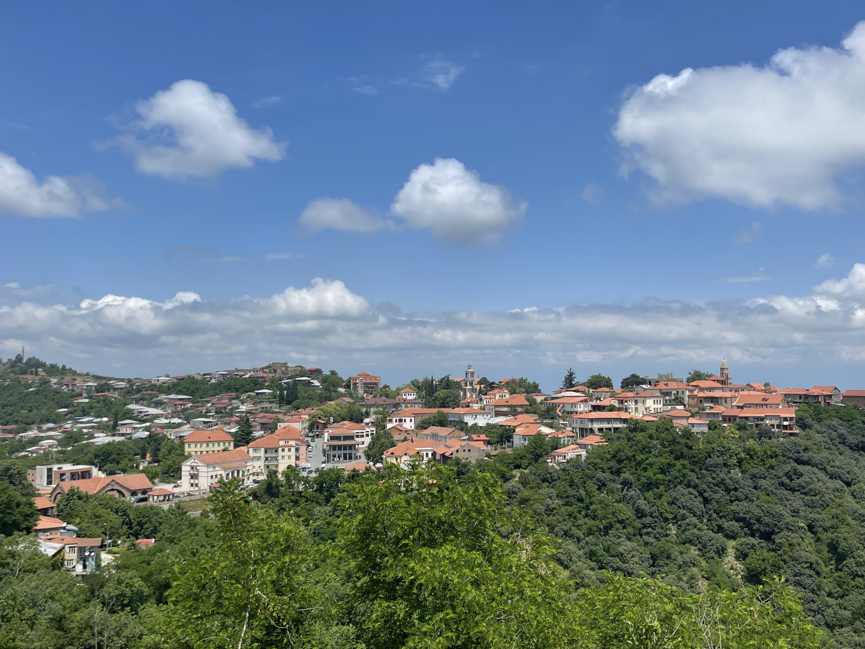 Знакомство с Грузией: Полное Погружение! Горы, еда, вино, храмы (21/47)