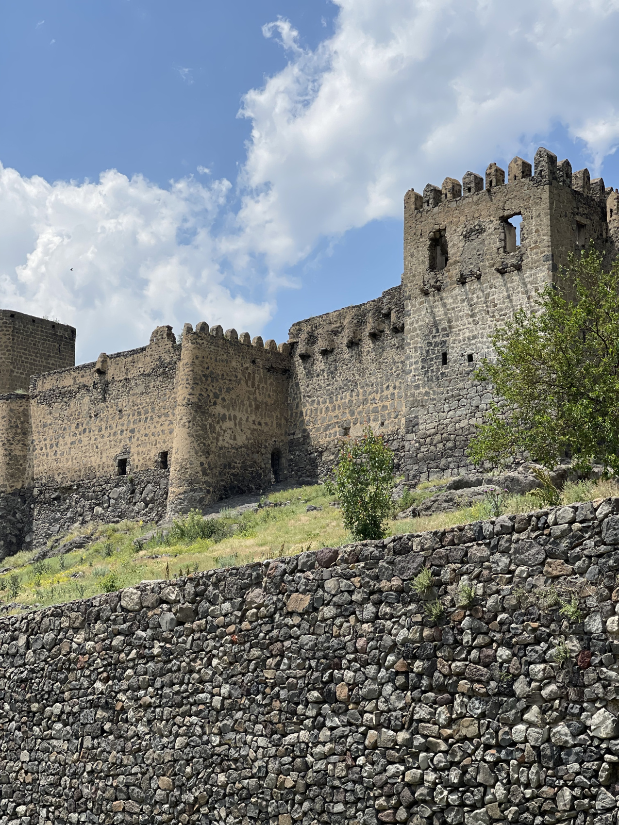 Знакомство с Грузией: Полное Погружение! Горы, еда, вино, храмы (6/47)