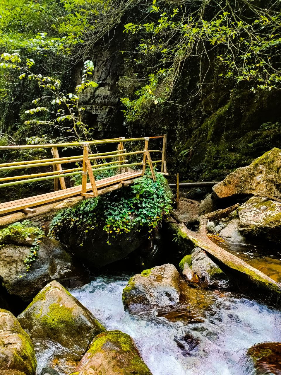 Новая Абхазия (8/28)