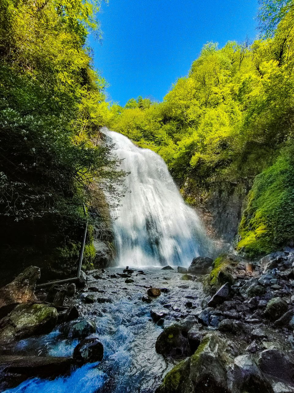 Новая Абхазия (14/28)