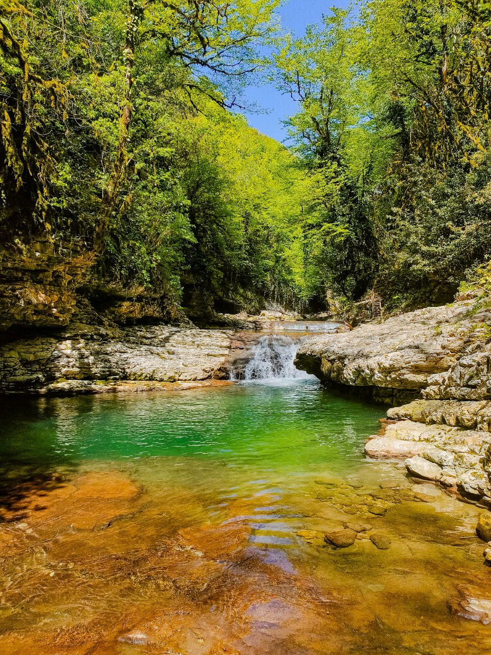 Новая Абхазия (6/28)