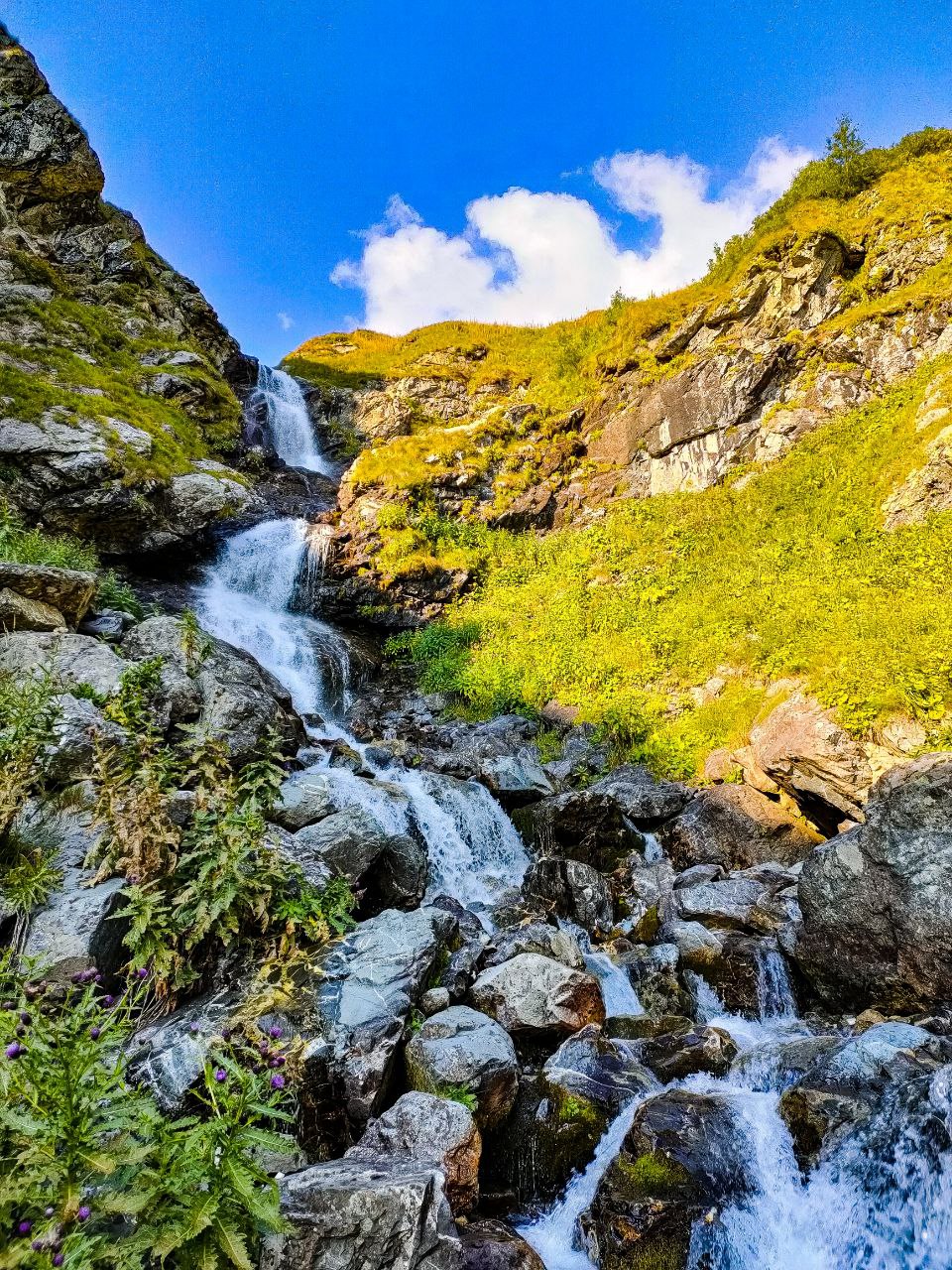 Новая Абхазия (10/28)