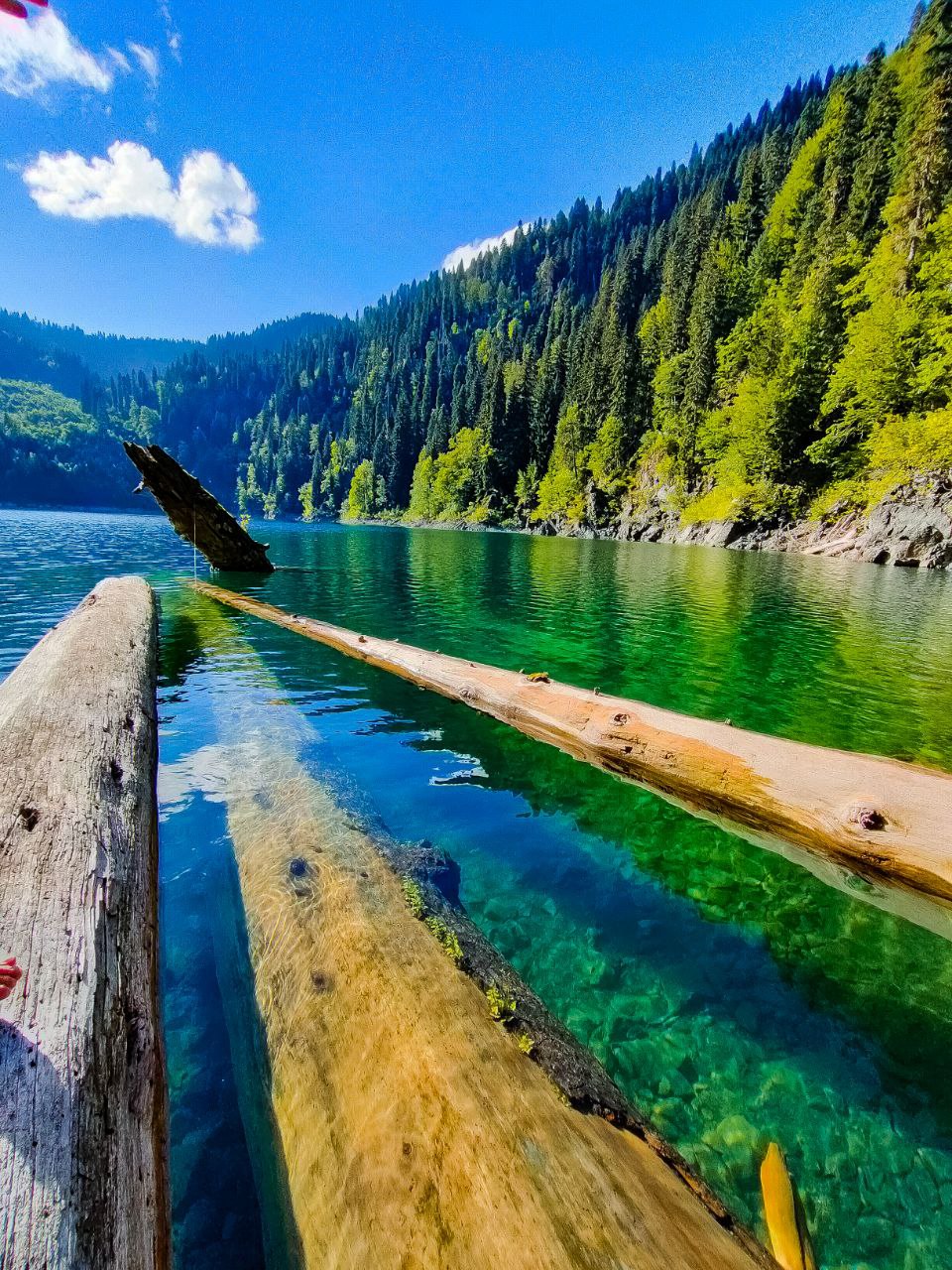 Новая Абхазия (7/28)