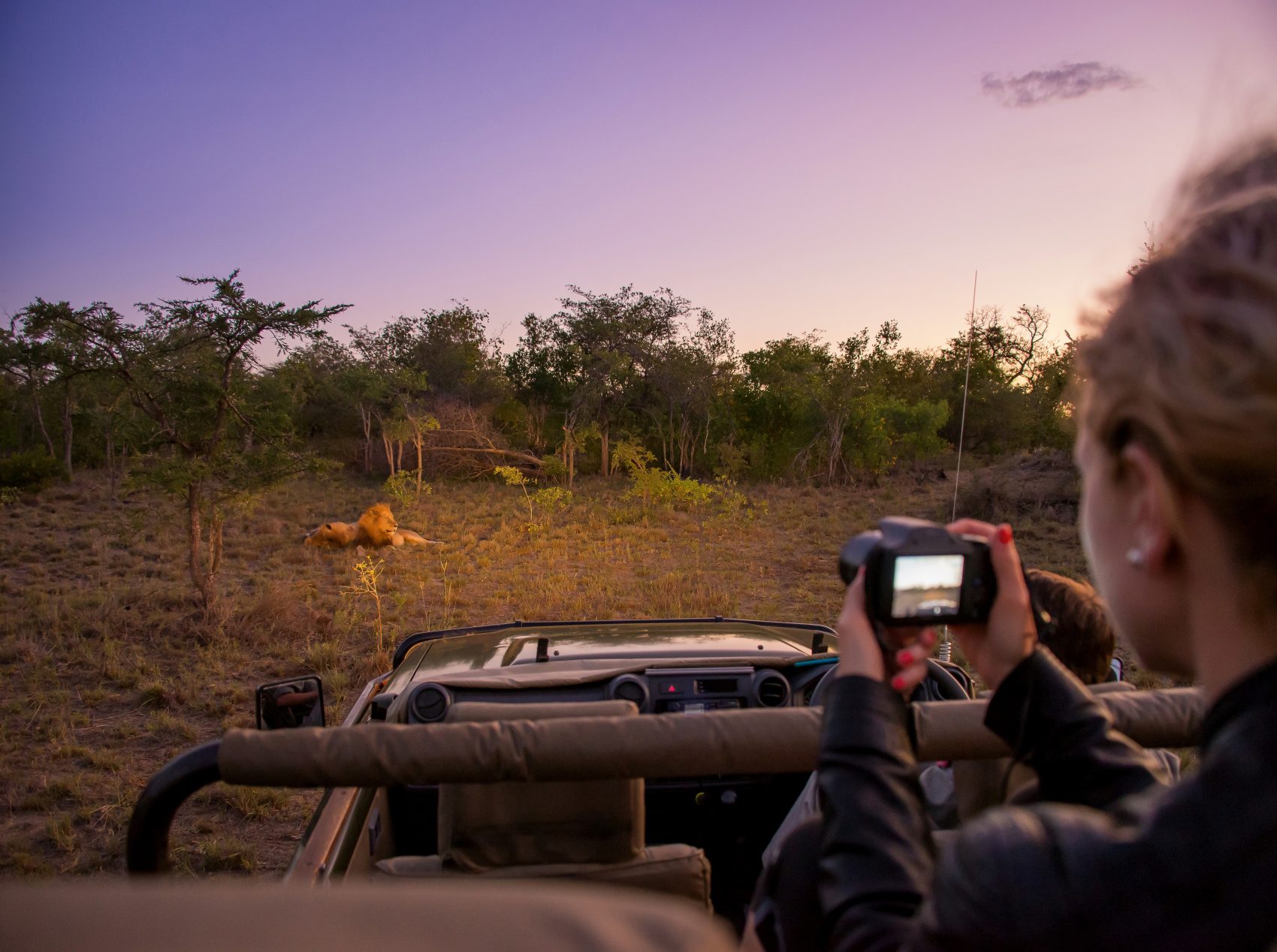 Классическая Южная Африка — 15 дней (3/17)