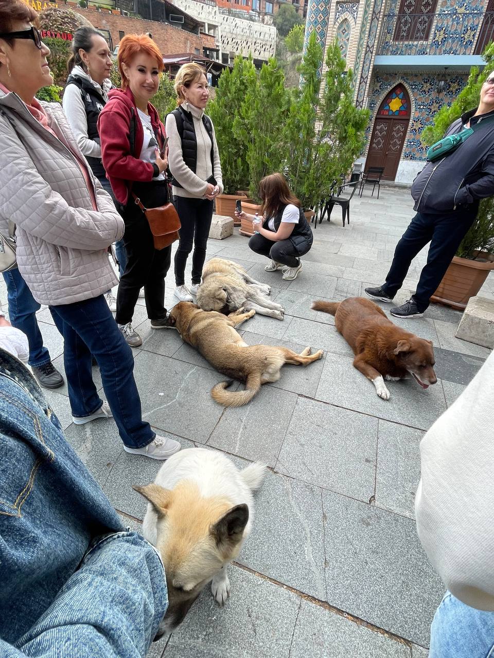 2 республики + 2 страны = 6 потрясающих открытий (408/436)