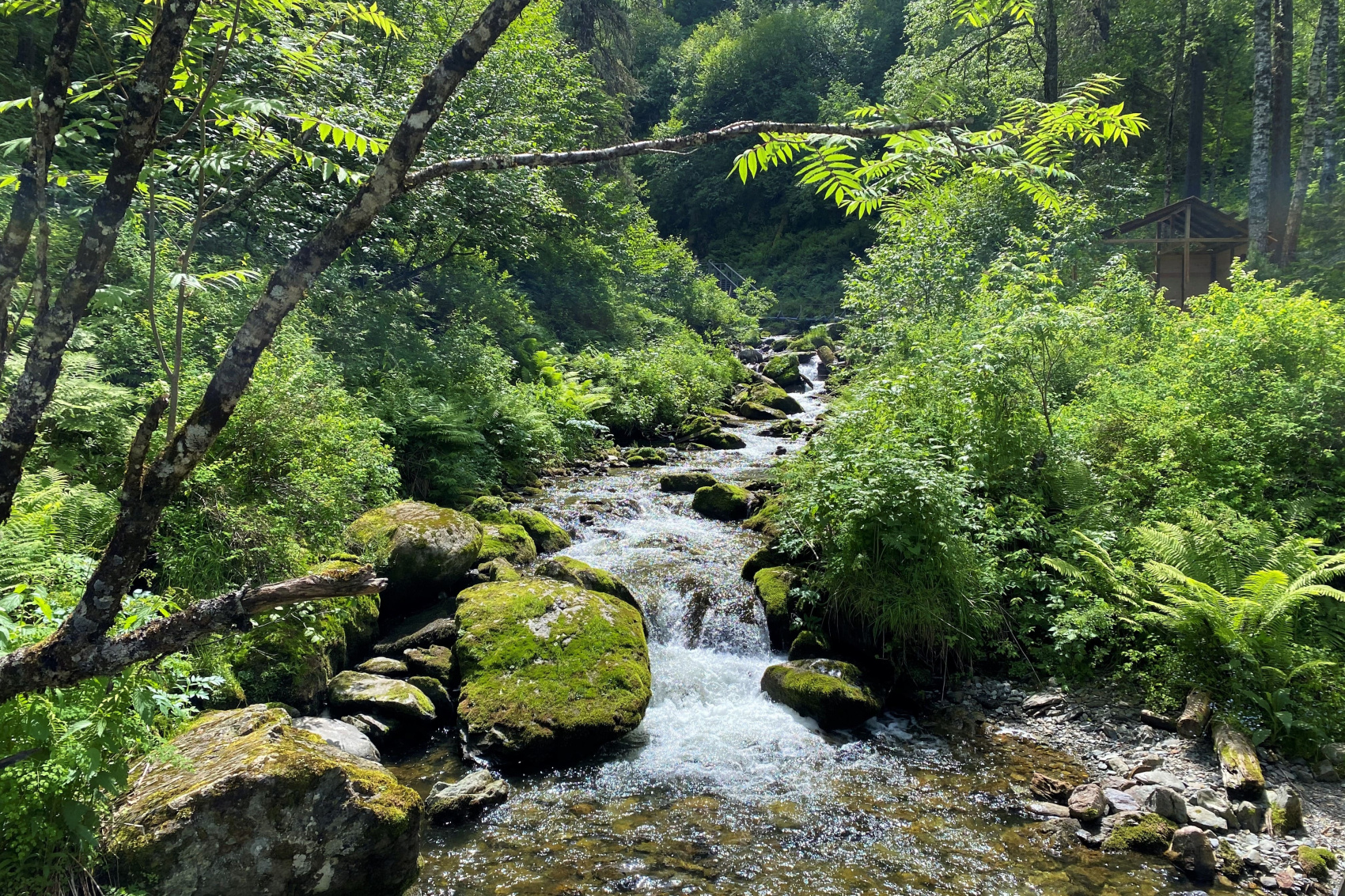 Алтайская кругосветка, группа до 5 чел (14/38)