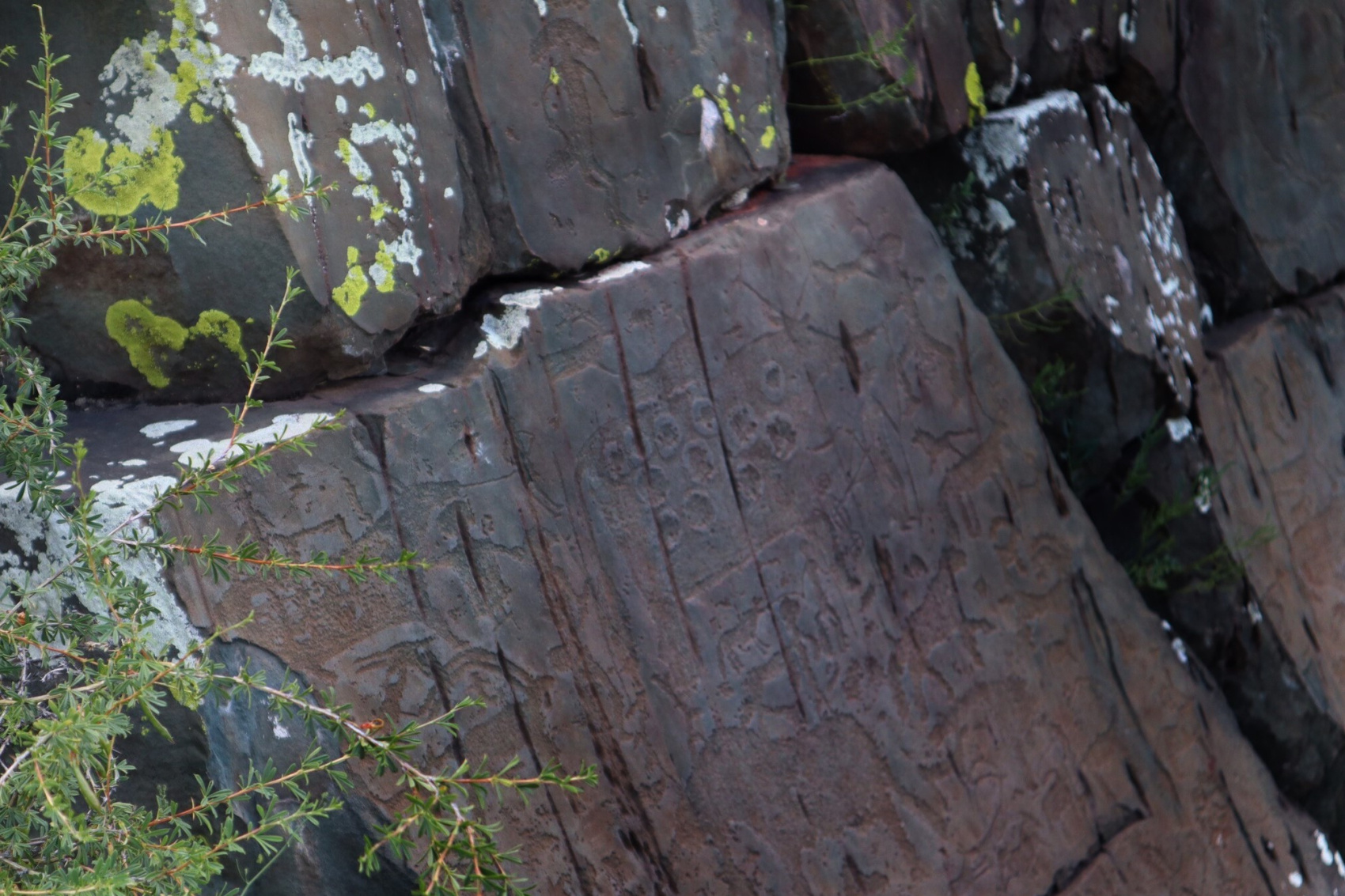 Алтайская кругосветка, группа до 5 чел (12/38)