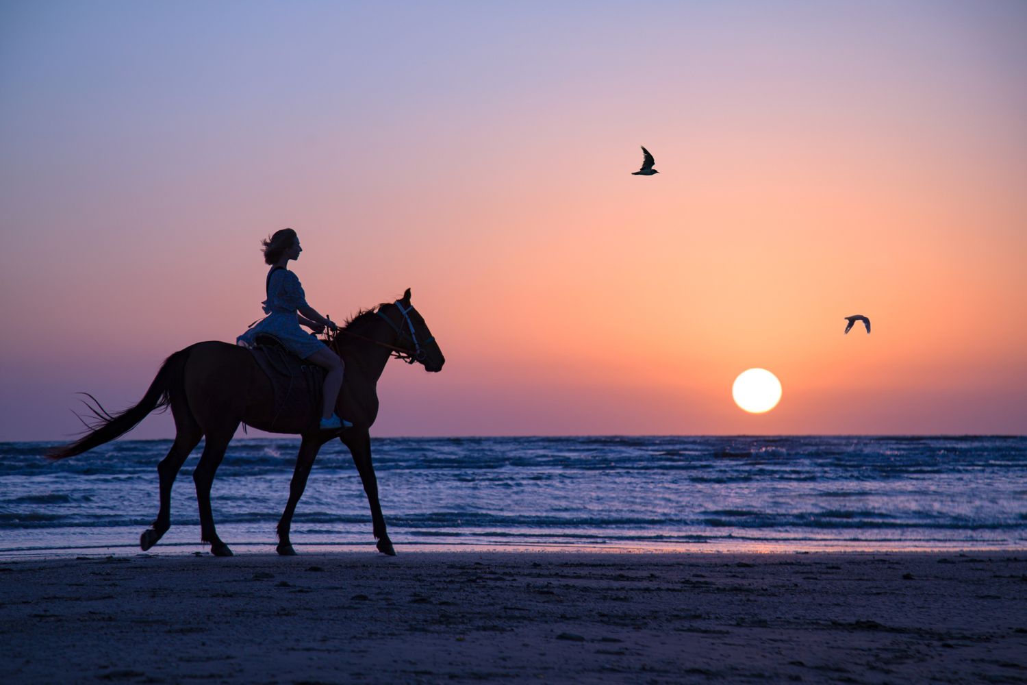 Дагестан Своими Глазами! 7 дней. Всё включено. (63/217)