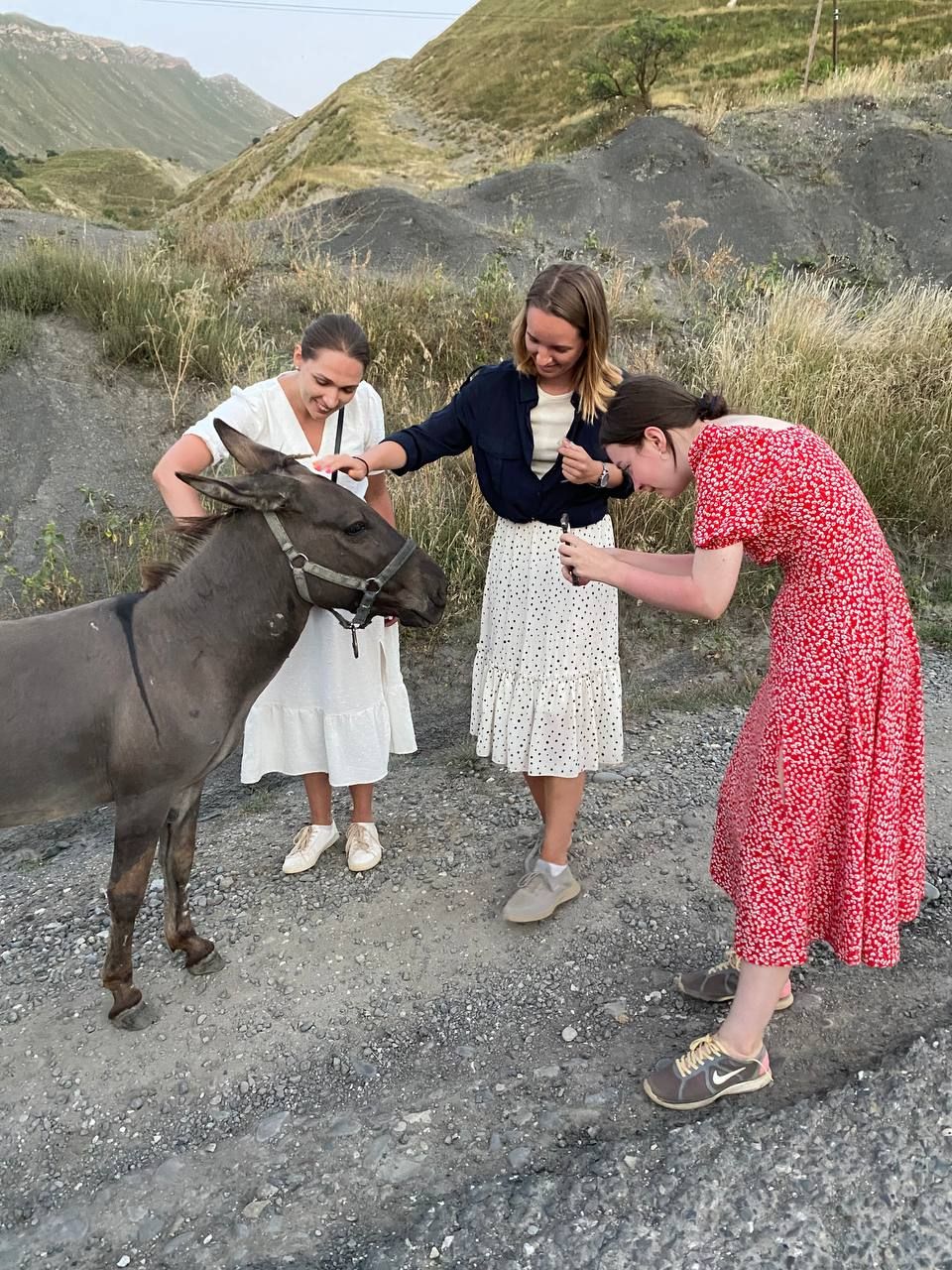 Дагестан Своими Глазами! 7 дней. Всё включено. (43/217)