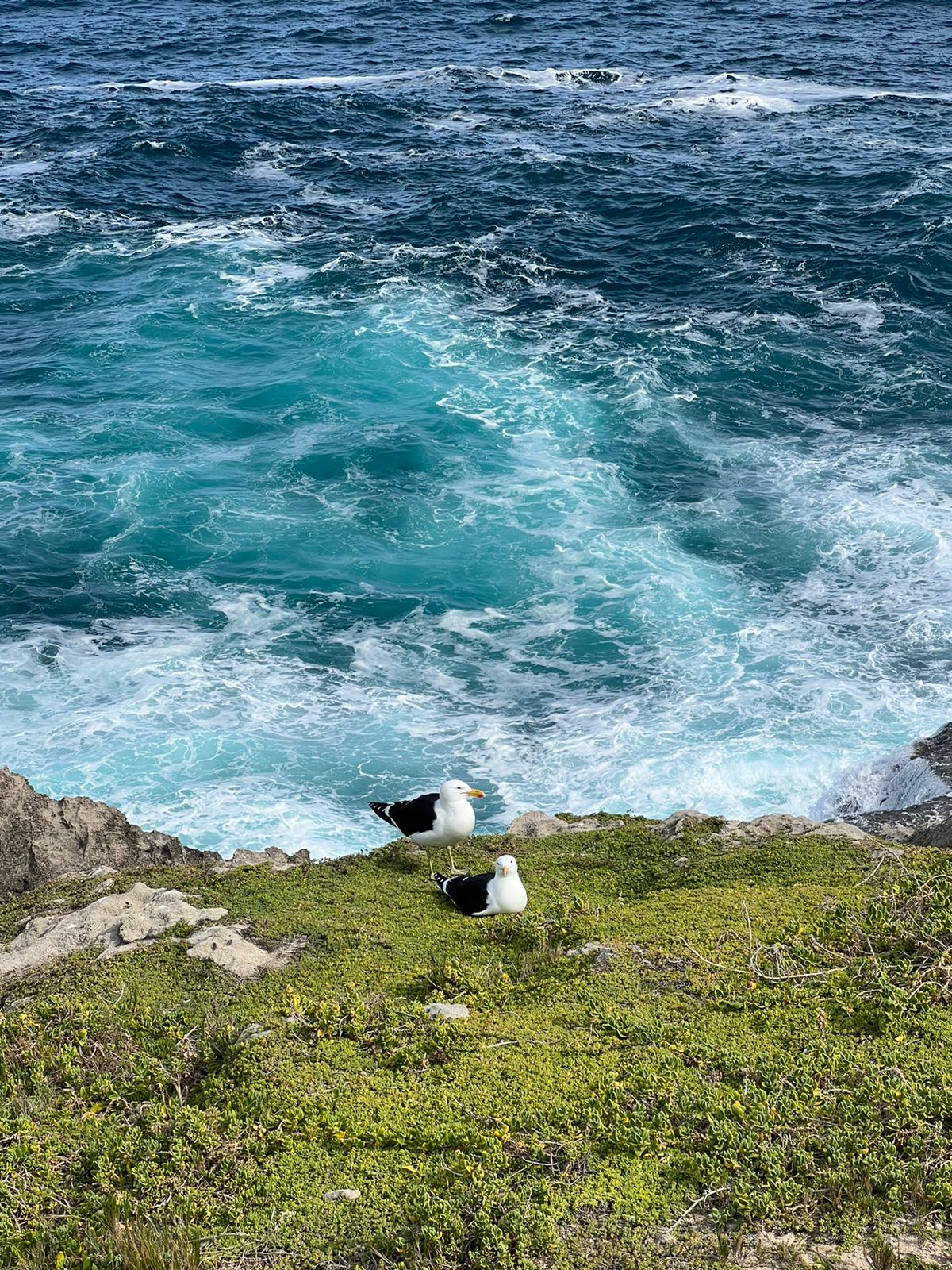 Юар. Водопад. Ботсвана (13/60)