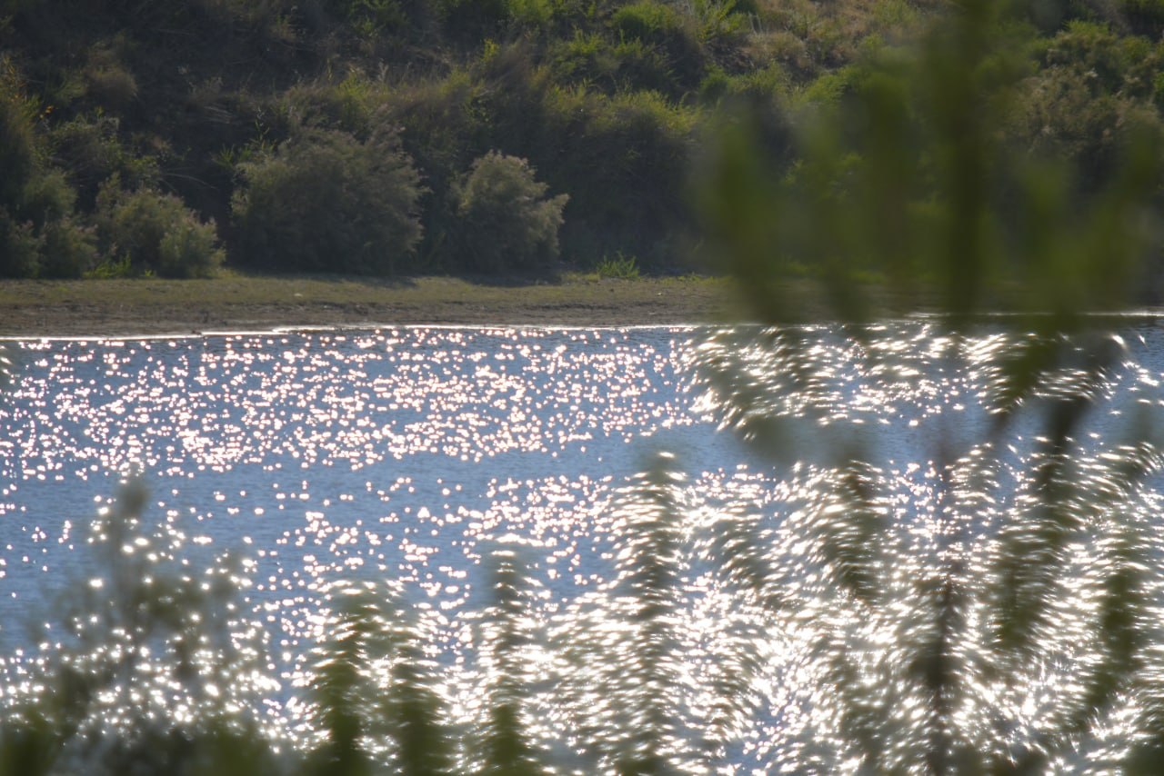 Белое солнце пустыни - летний тур в Узбекистан (16/39)