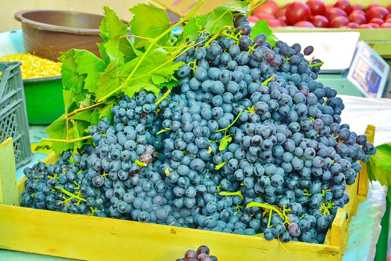 Белое солнце пустыни - летний тур в Узбекистан (32/39)