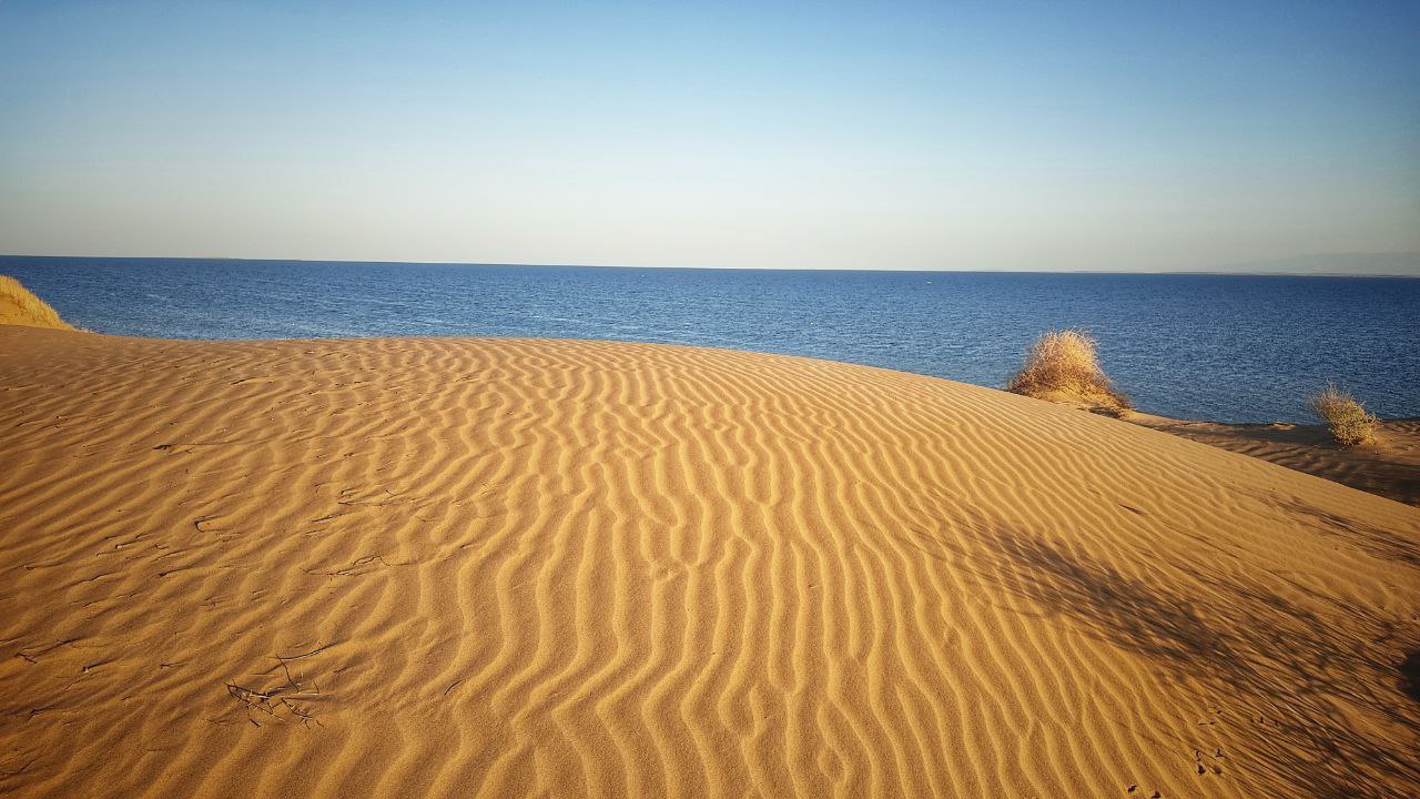 Белое солнце пустыни - летний тур в Узбекистан (13/39)