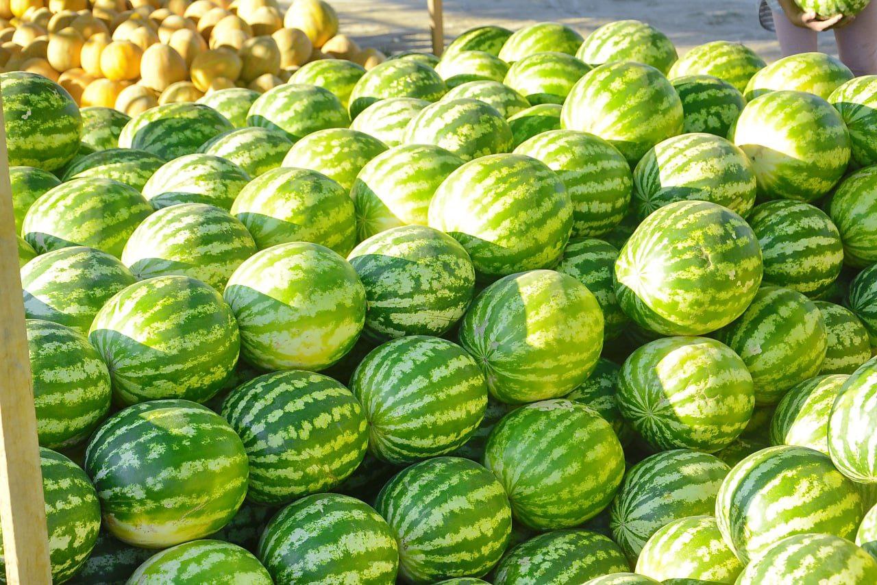 Белое солнце пустыни - летний тур в Узбекистан (17/39)