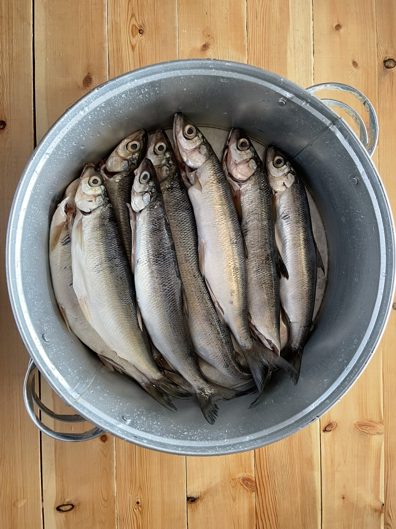 Лето 2026. Яхты. Глэмпинг. Северный Байкал. (39/73)