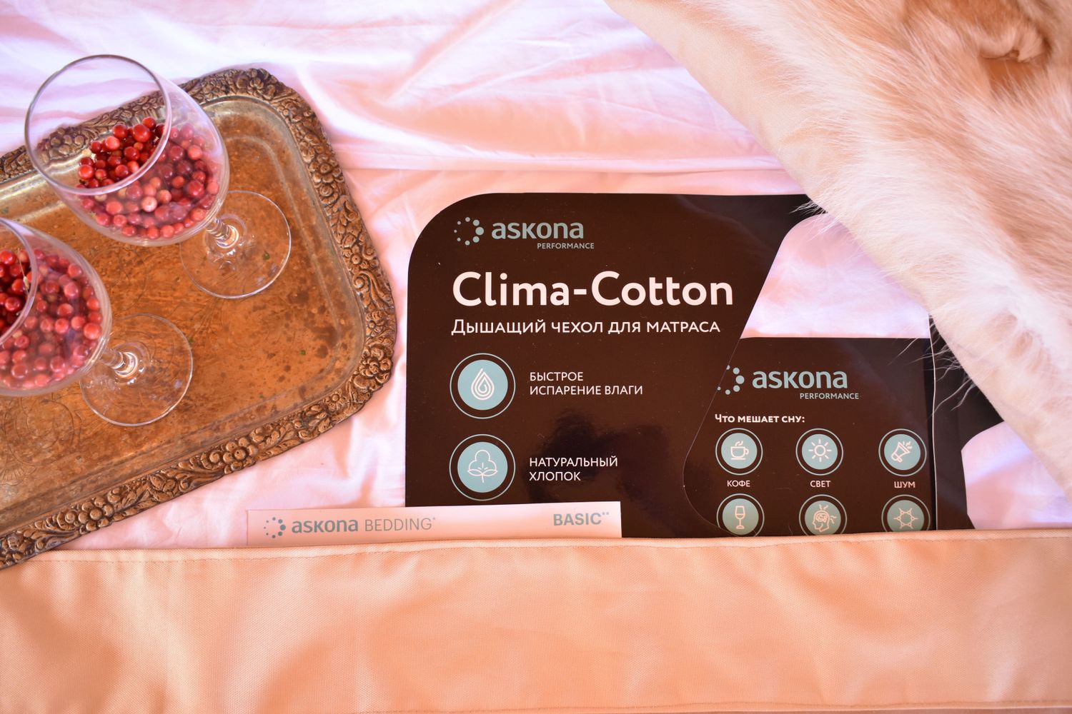 Лето 2026. Яхты. Глэмпинг. Северный Байкал. (17/73)