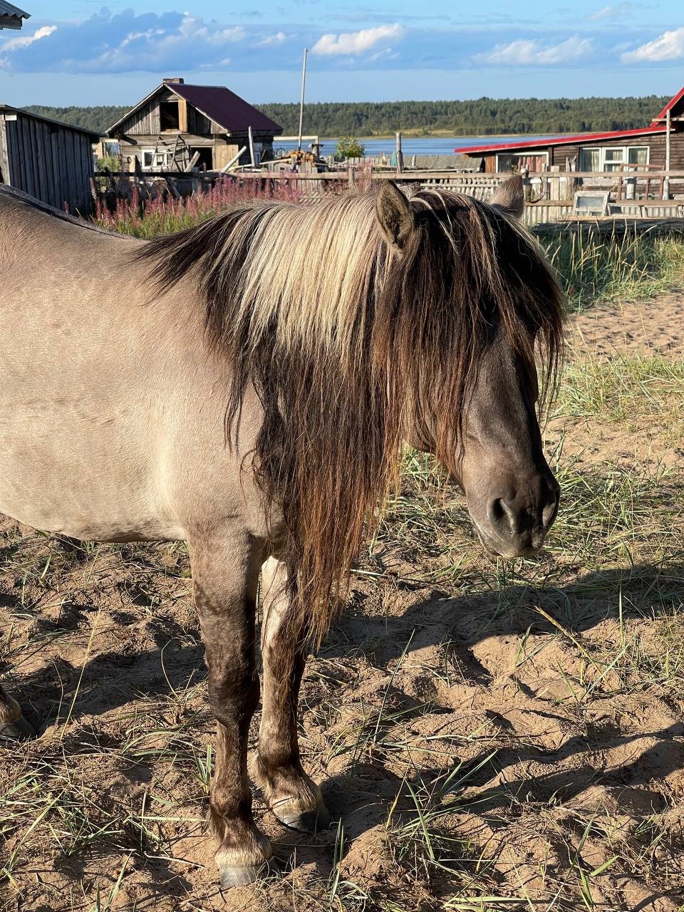 Хибины + Терский берег  - 7 дней на Кольском (8/36)