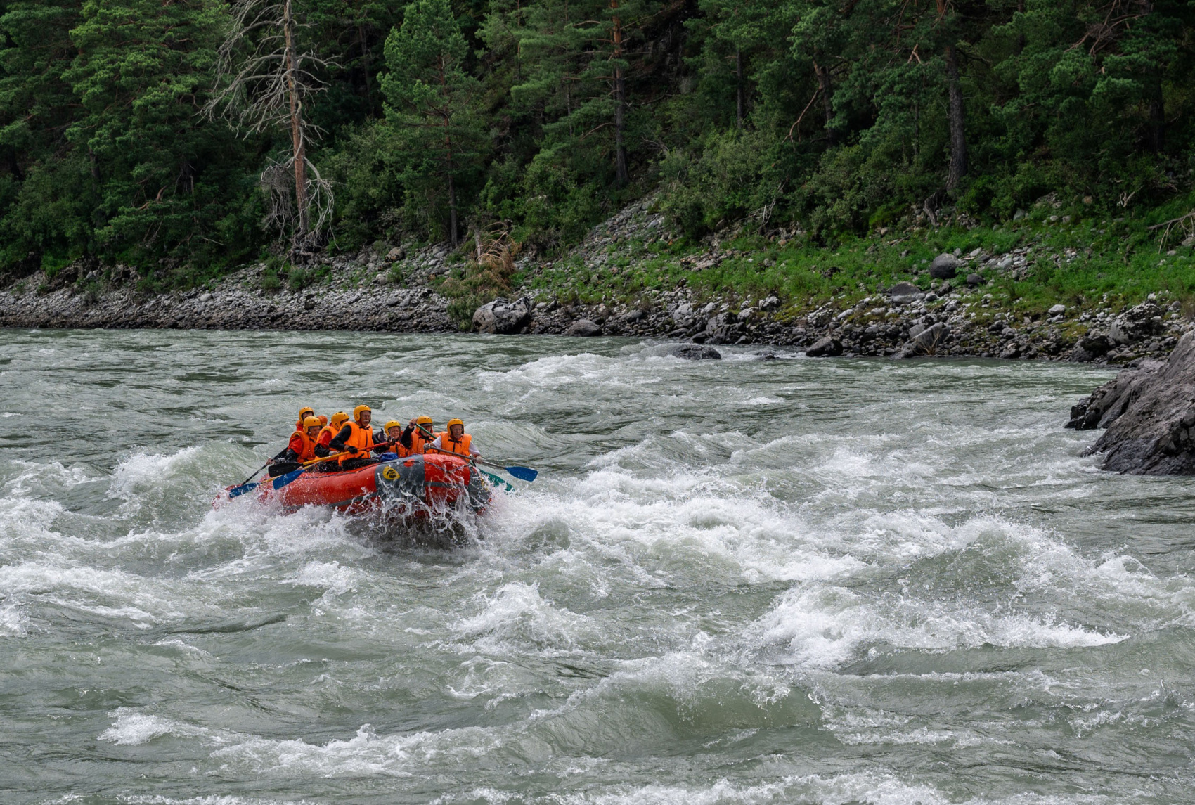 Сплав по нижней Катуни (8/35)