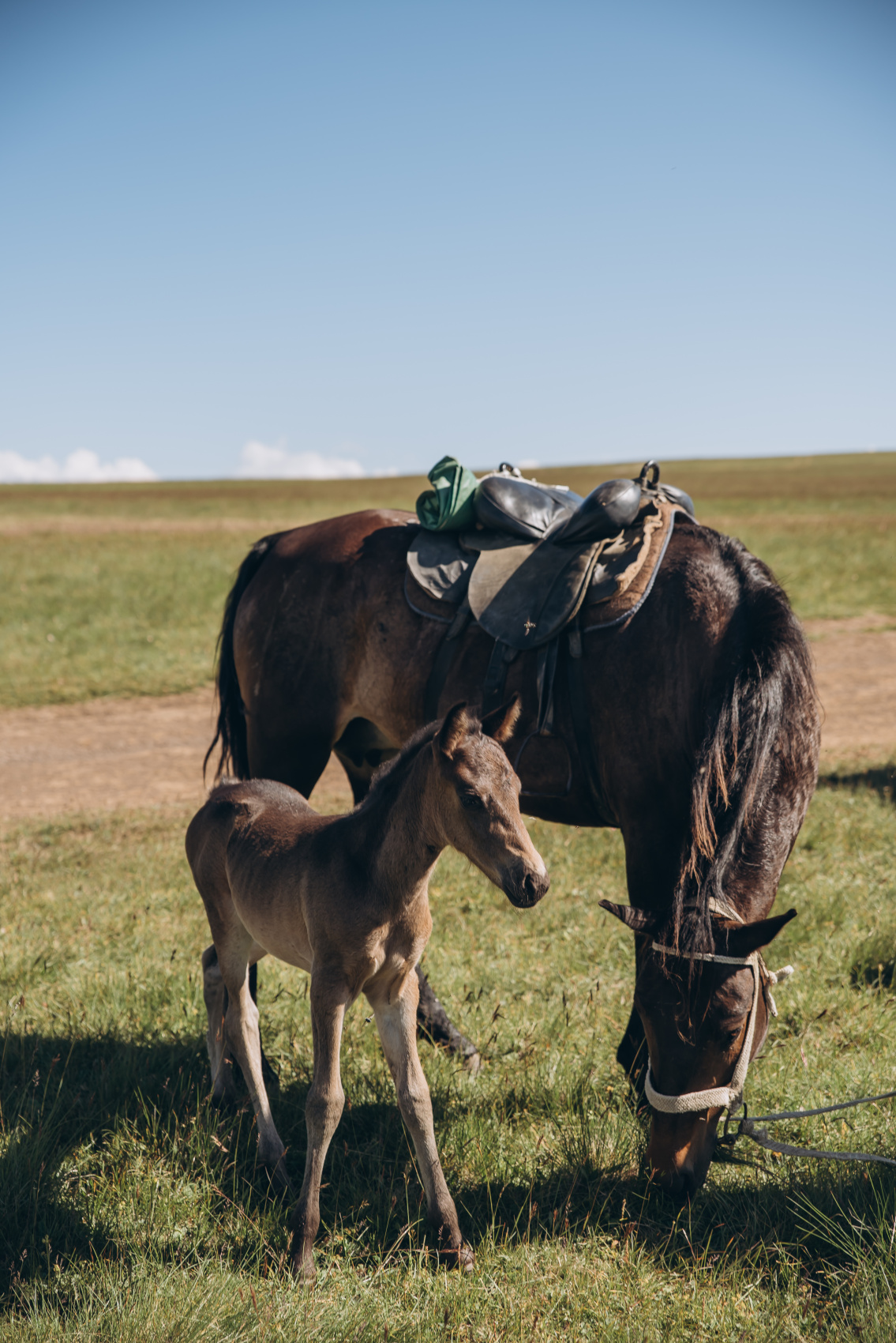 джипы Северное Приэльбрусье + Чегем и Безенги 4 дня (13/49)