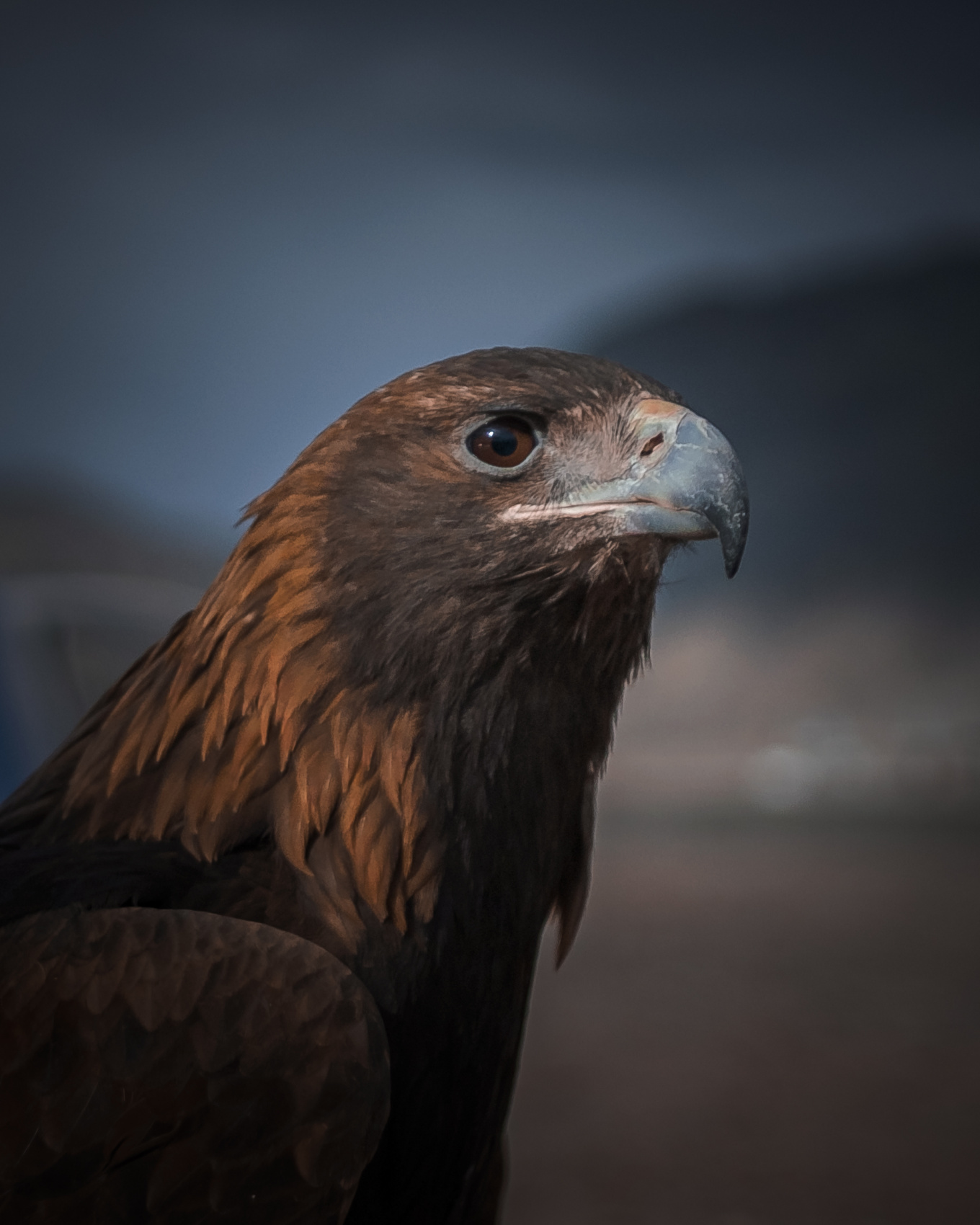 Джип-Тур в Кыргызстан. Кель-Суу. (6/12)