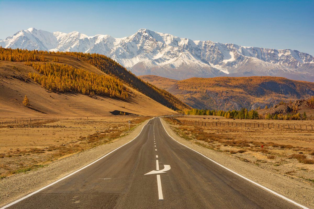 Лучшее На Алтае 2026. Легкий тур до Монголии по Чуйскому тракту! (35/58)